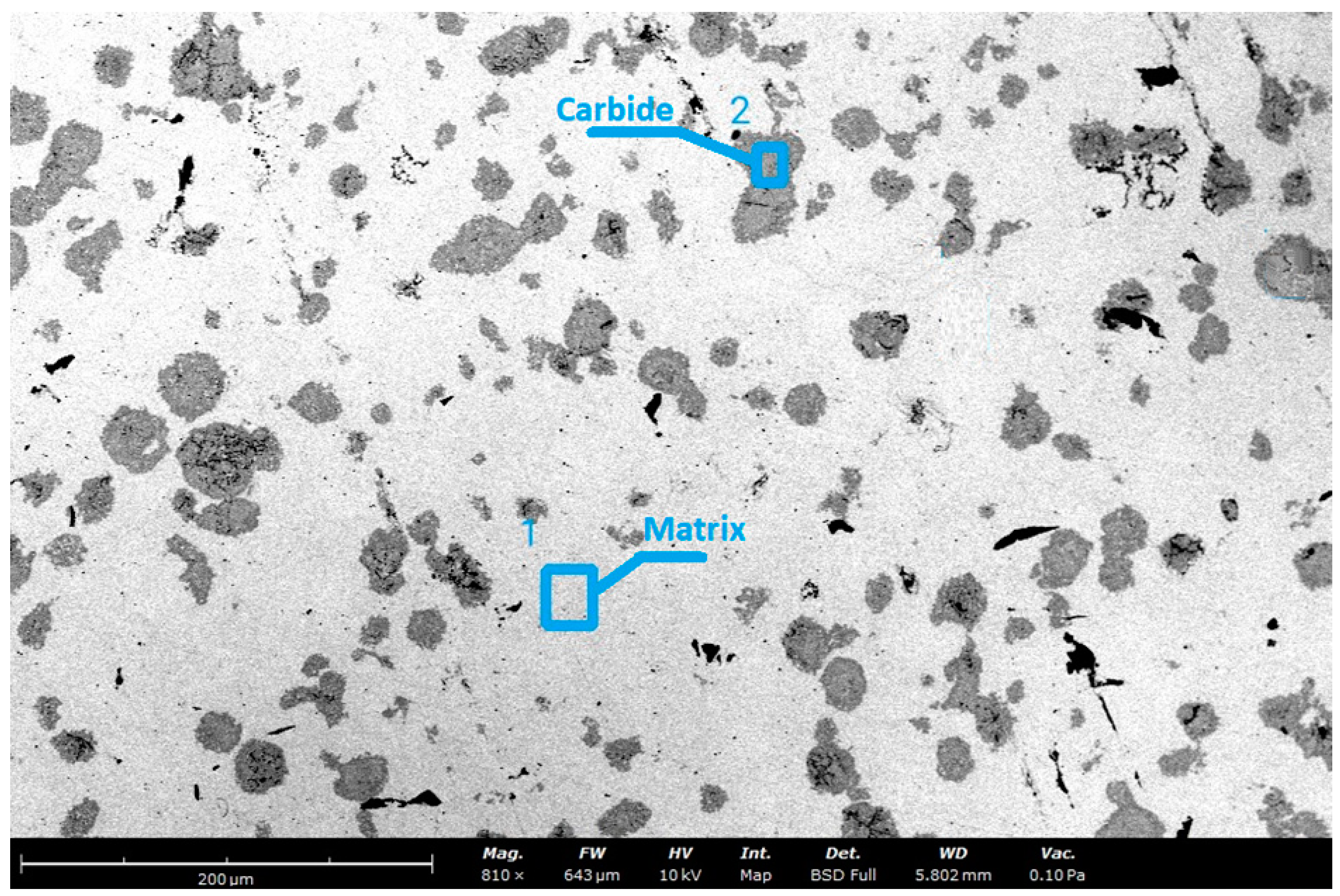 Metals 14 01153 g004