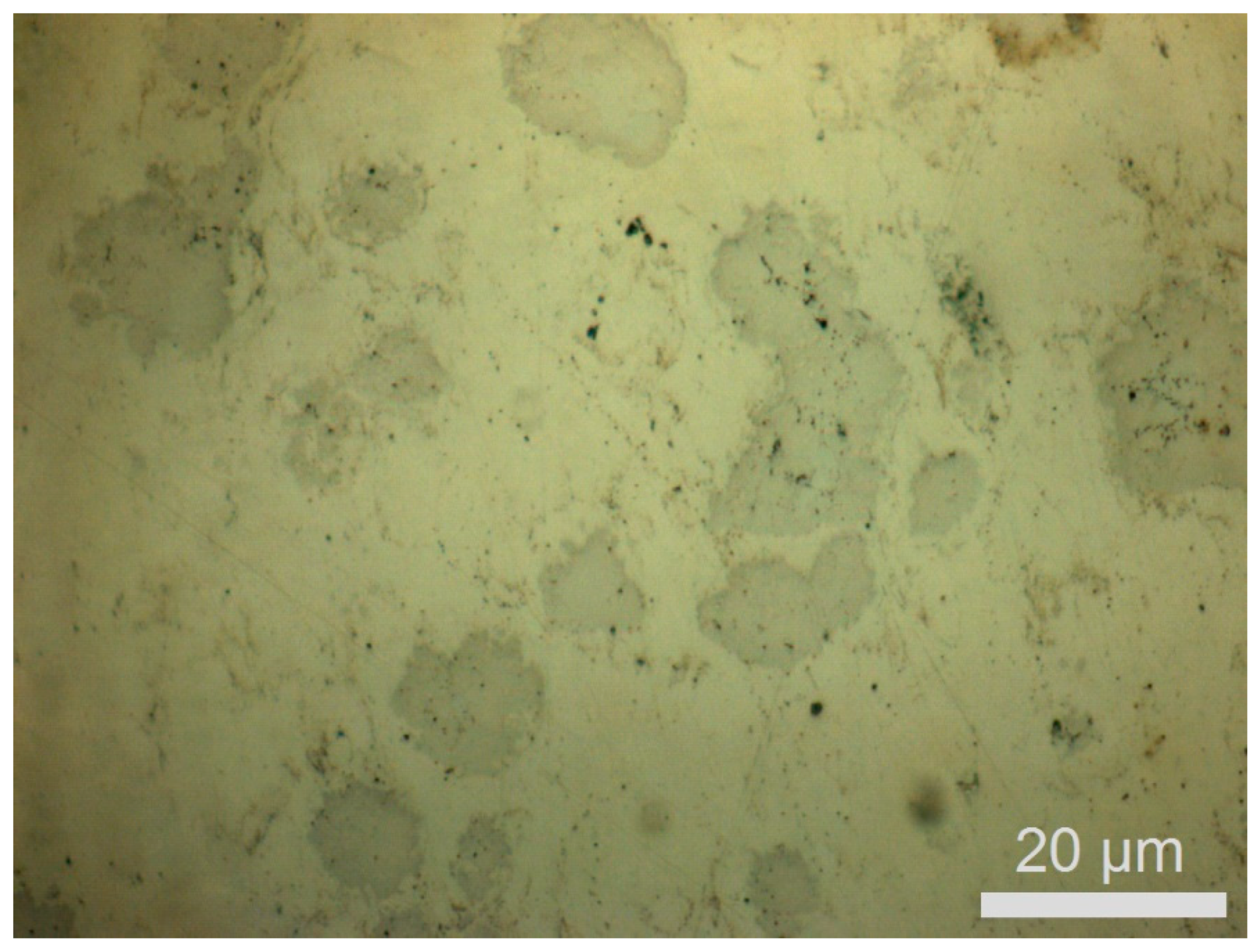 Metals 14 01153 g017