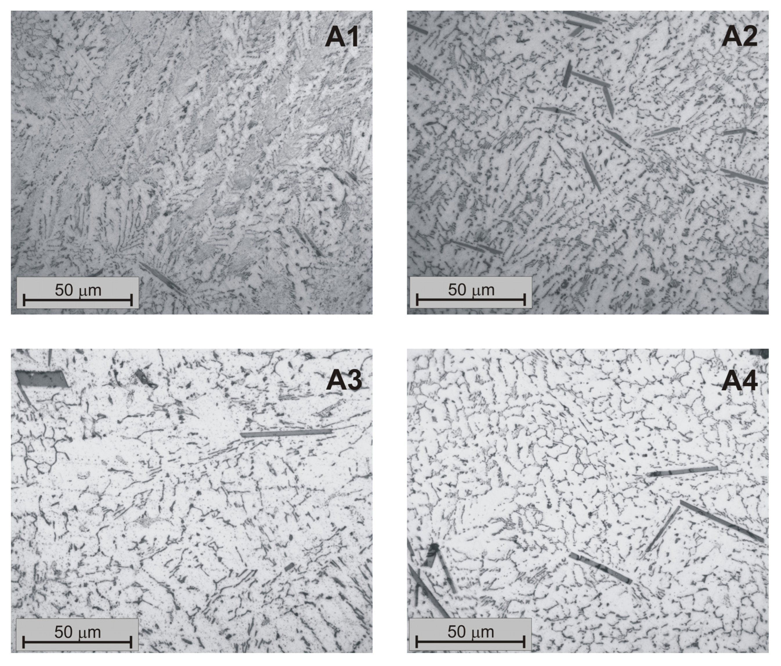 Metals 14 01156 g004