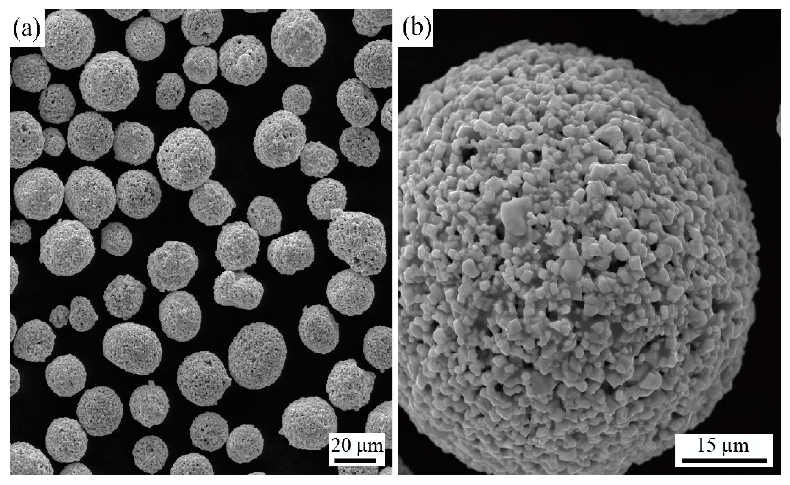 Metals 14 01158 g002a