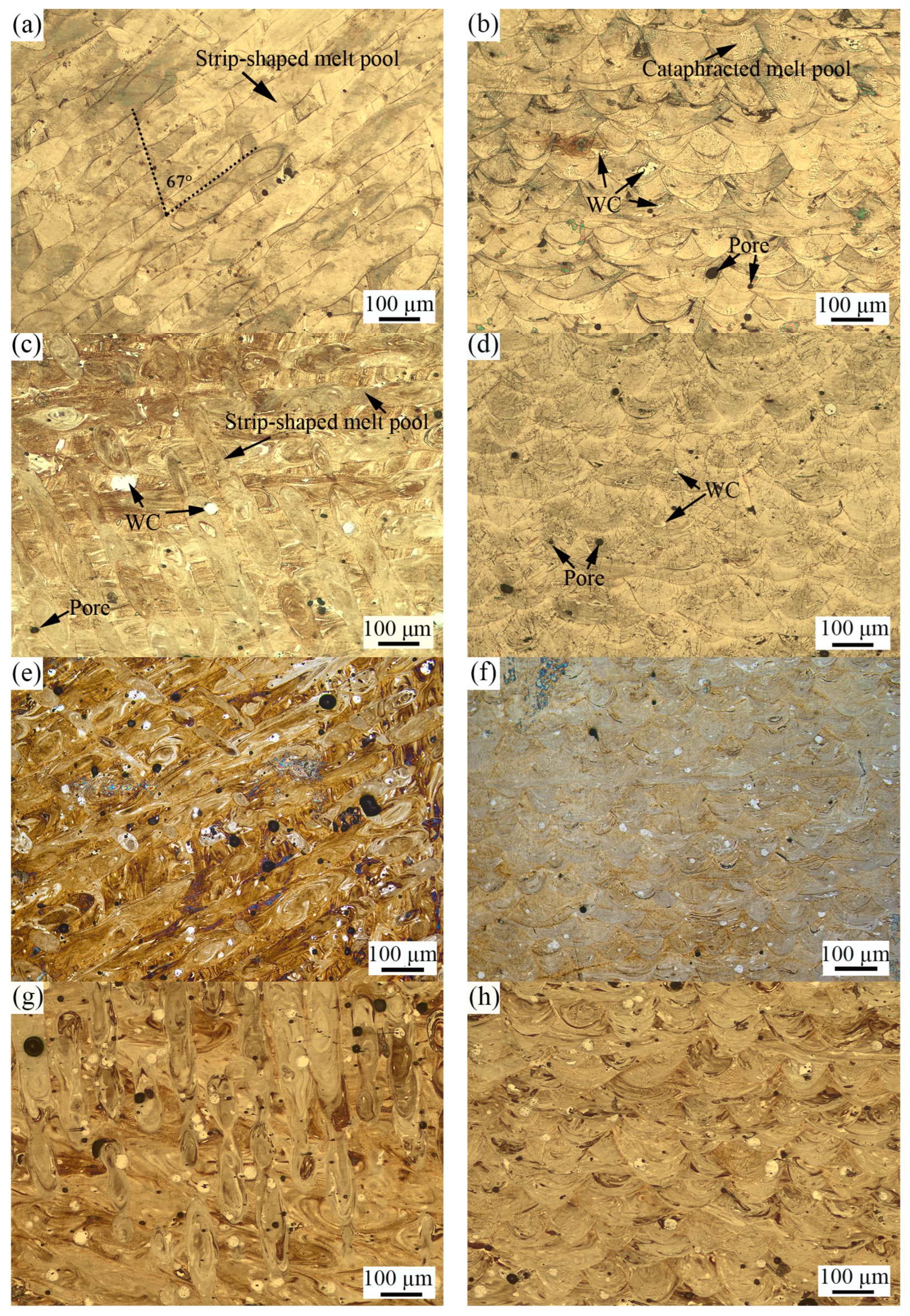 Metals 14 01158 g004