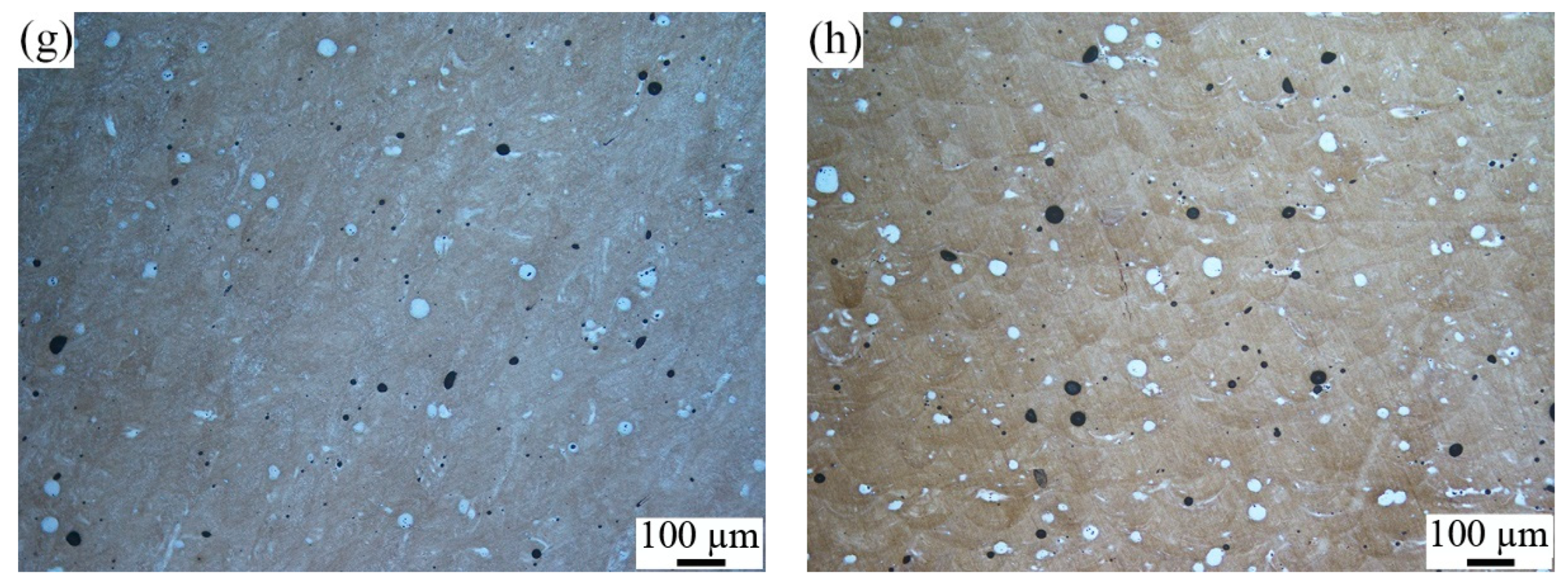 Metals 14 01158 g005b