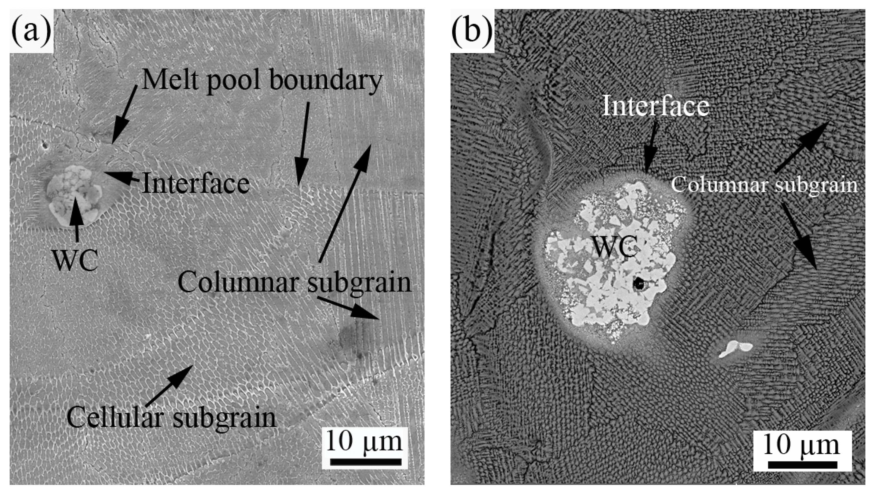 Metals 14 01158 g006a