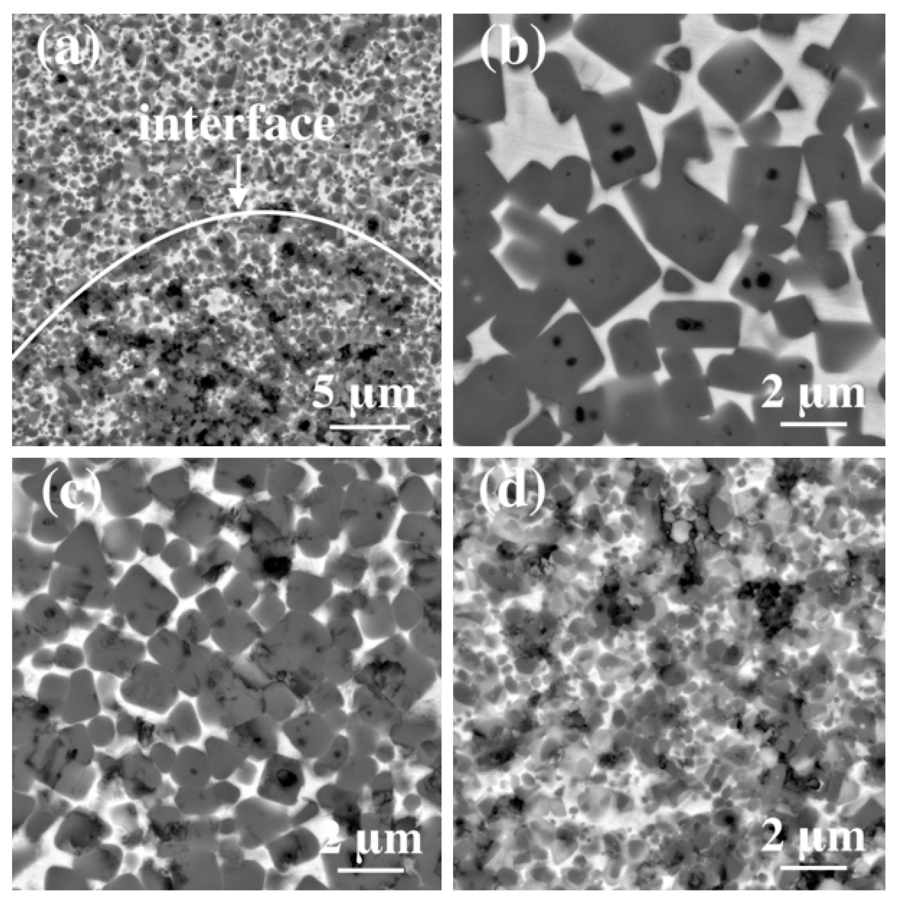 Metals 14 01161 g006