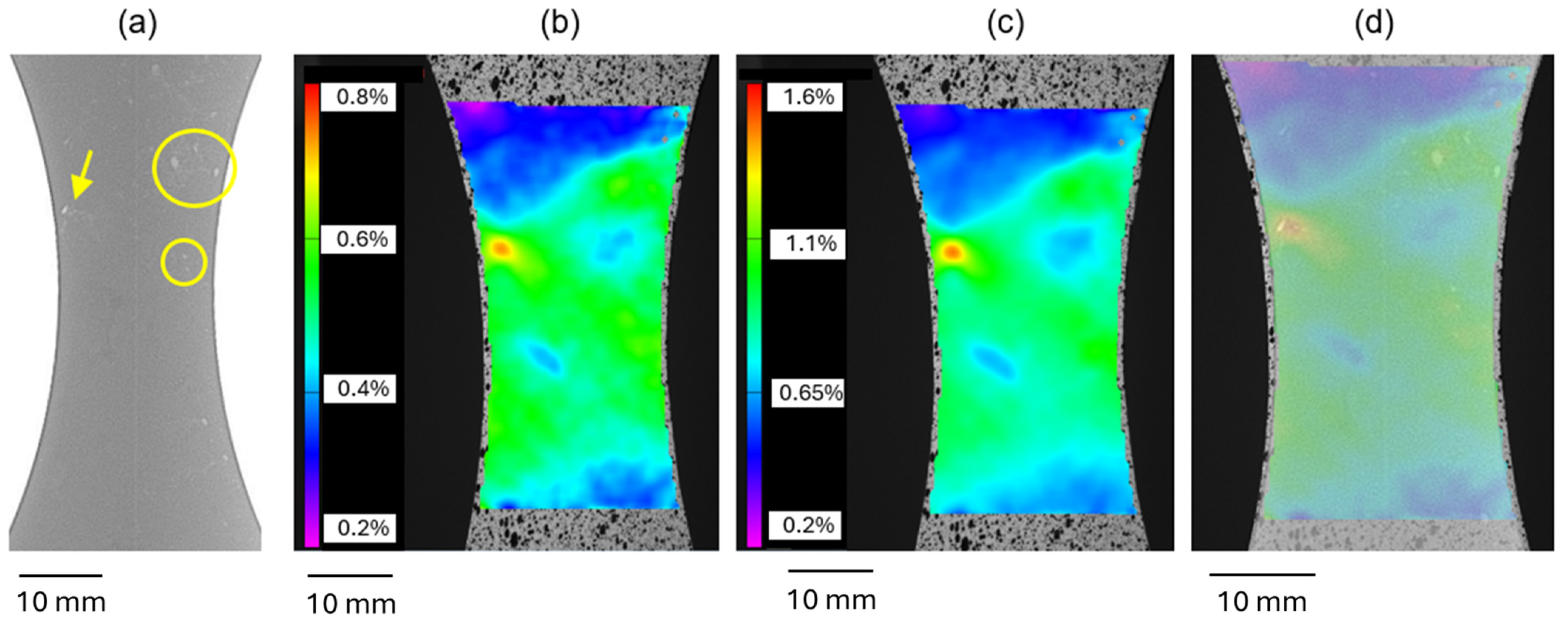 Metals 14 01175 g002
