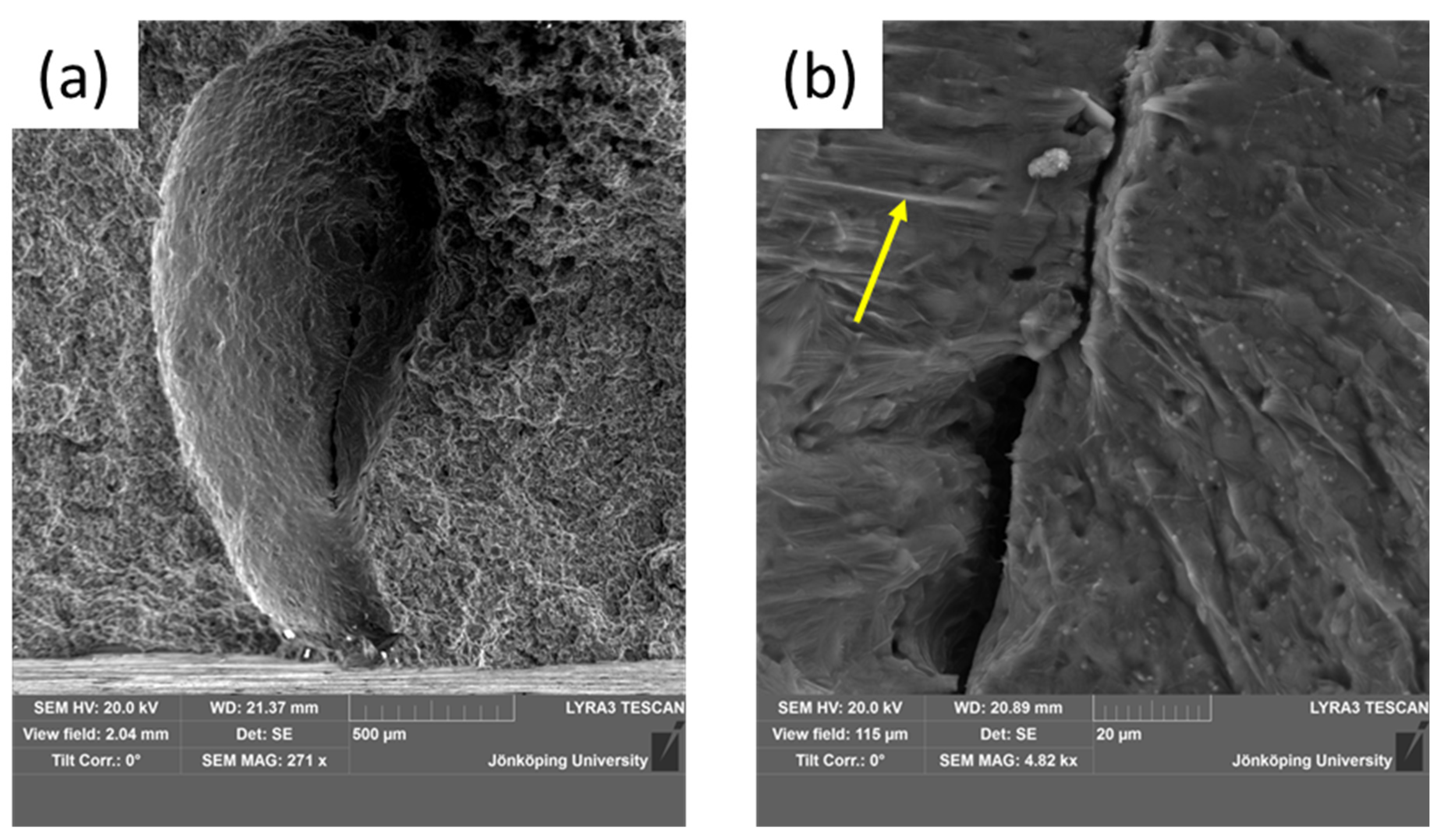 Metals 14 01175 g003