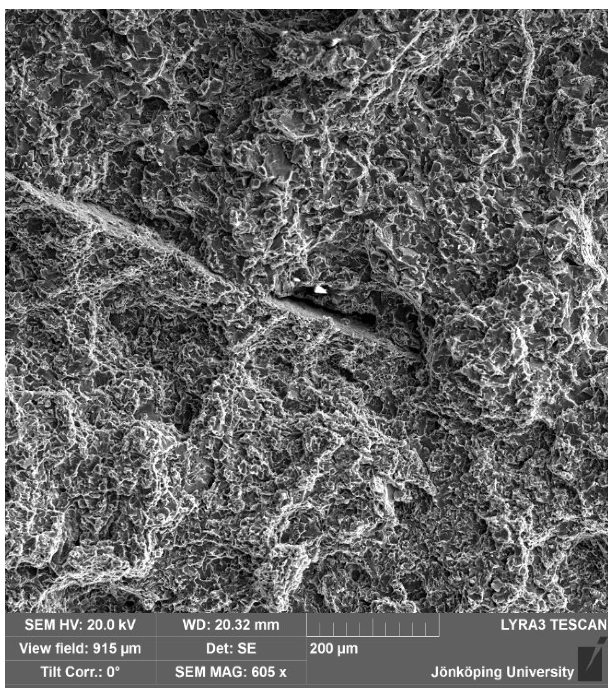 Metals 14 01175 g005