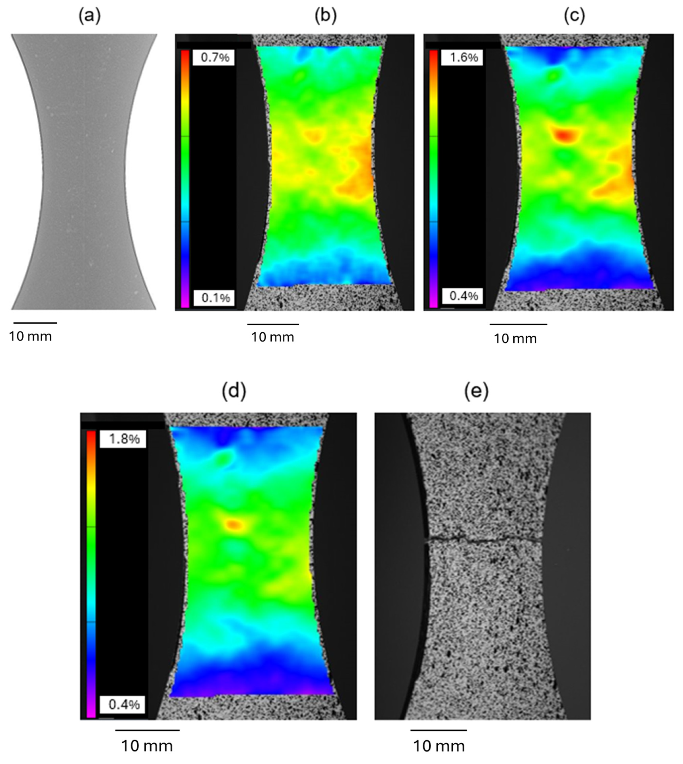 Metals 14 01175 g006