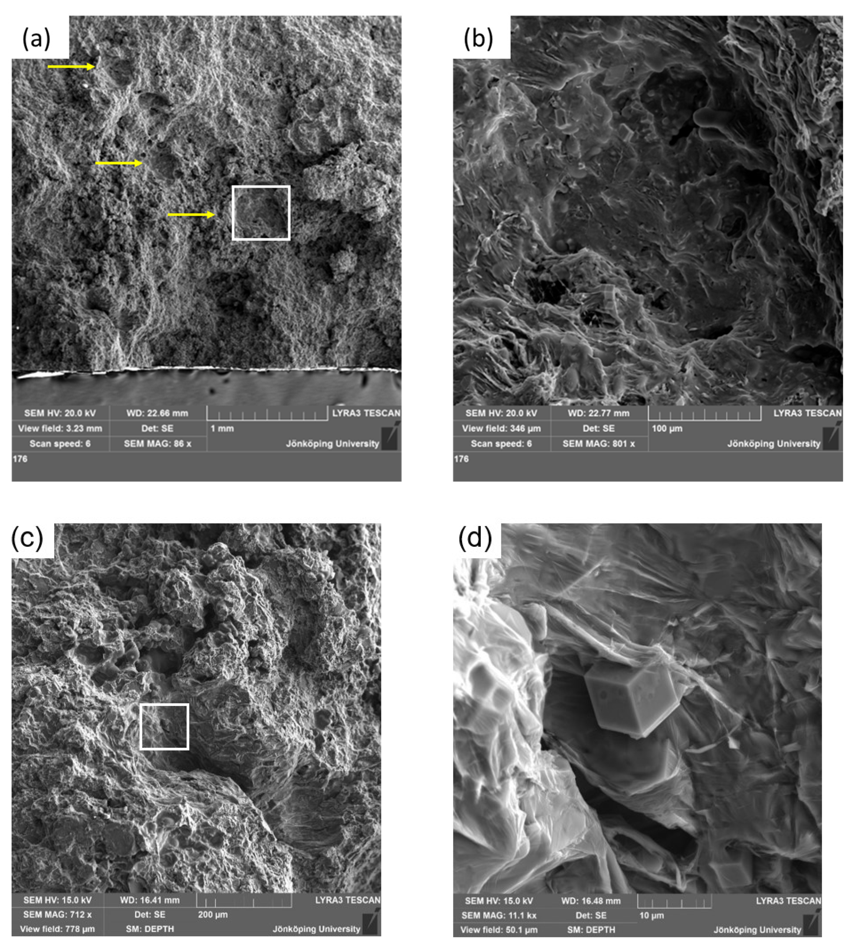 Metals 14 01175 g007