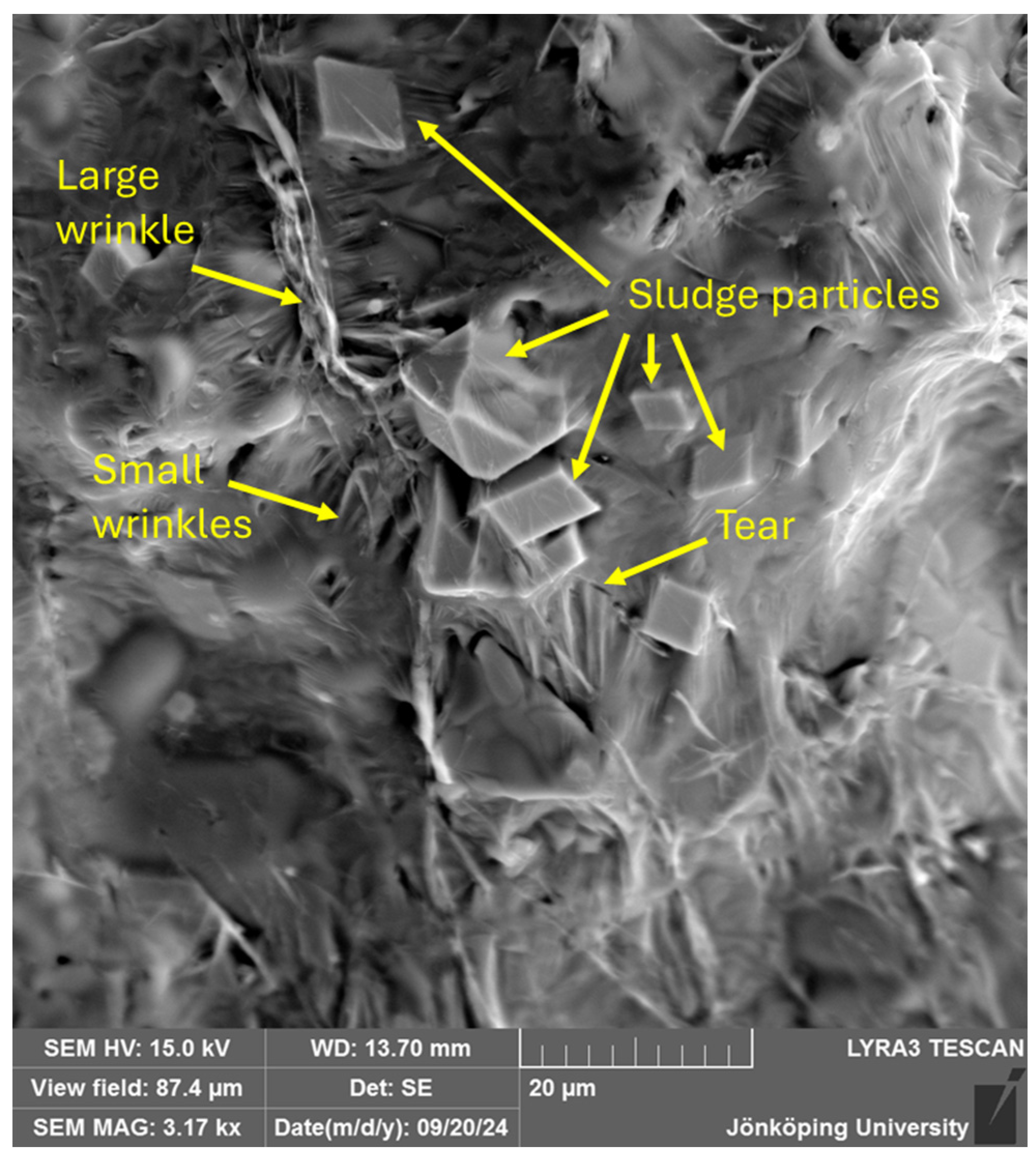 Metals 14 01175 g008