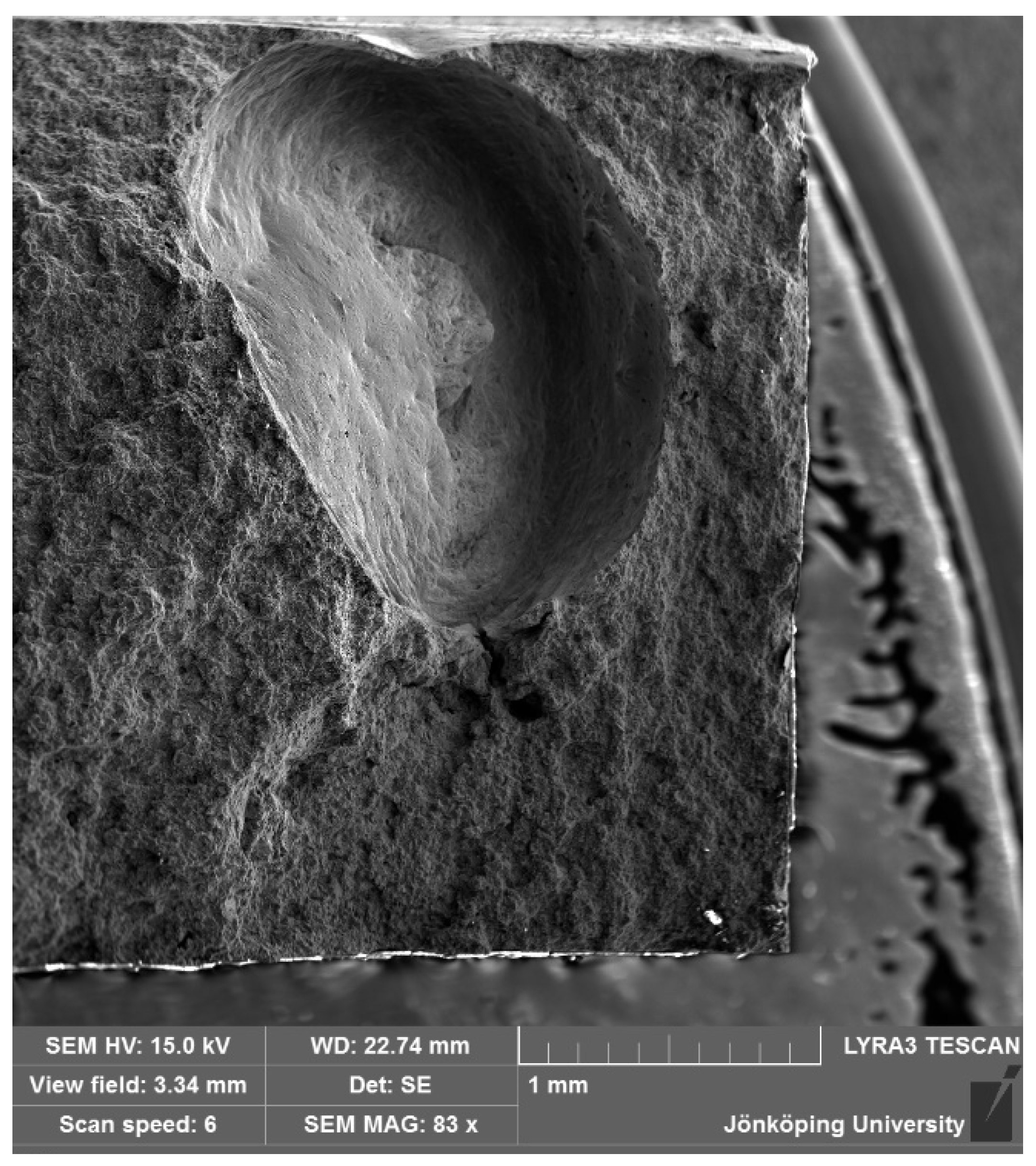 Metals 14 01175 g010