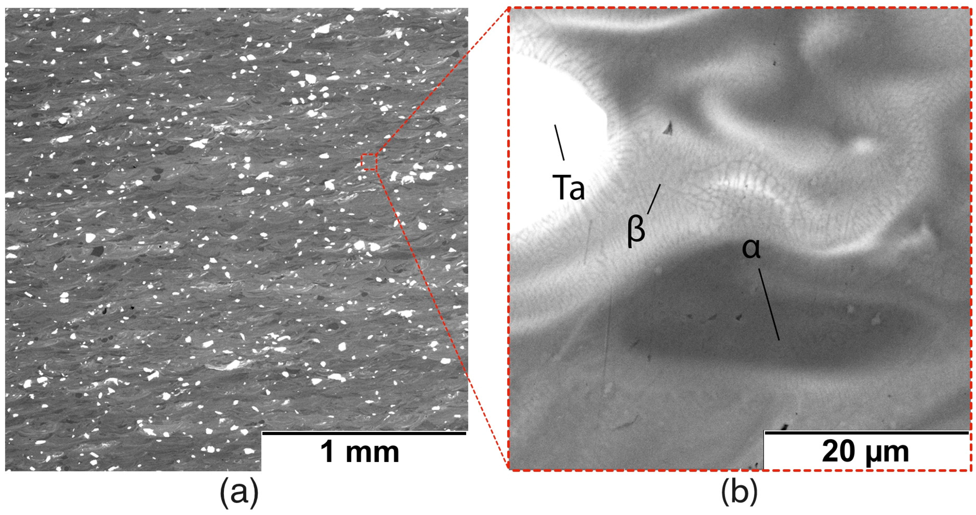 Metals 14 01177 g003