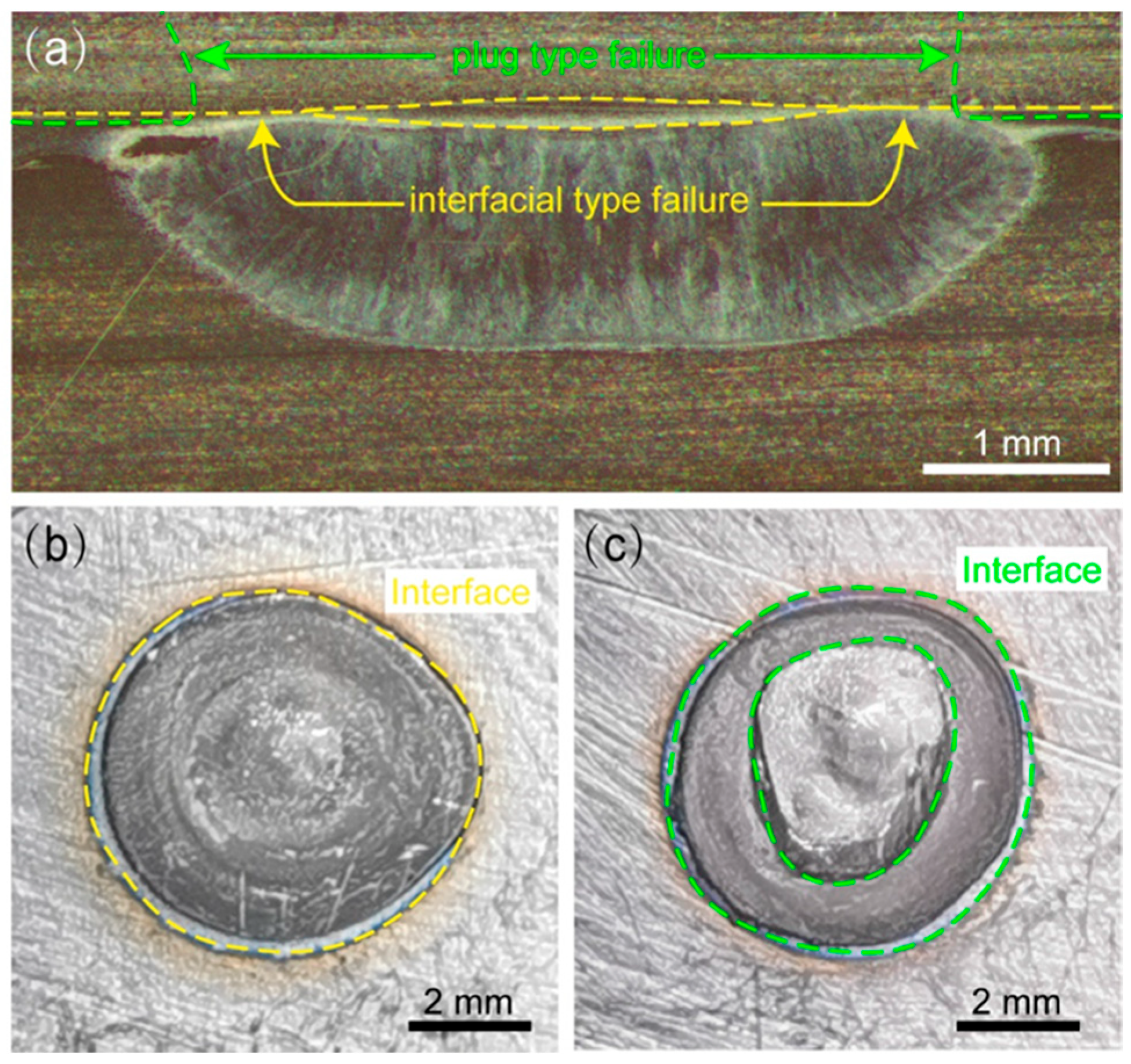 Metals 14 01178 g011