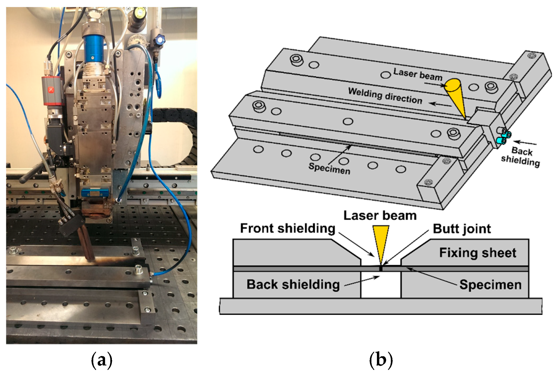 Metals 14 01184 g003