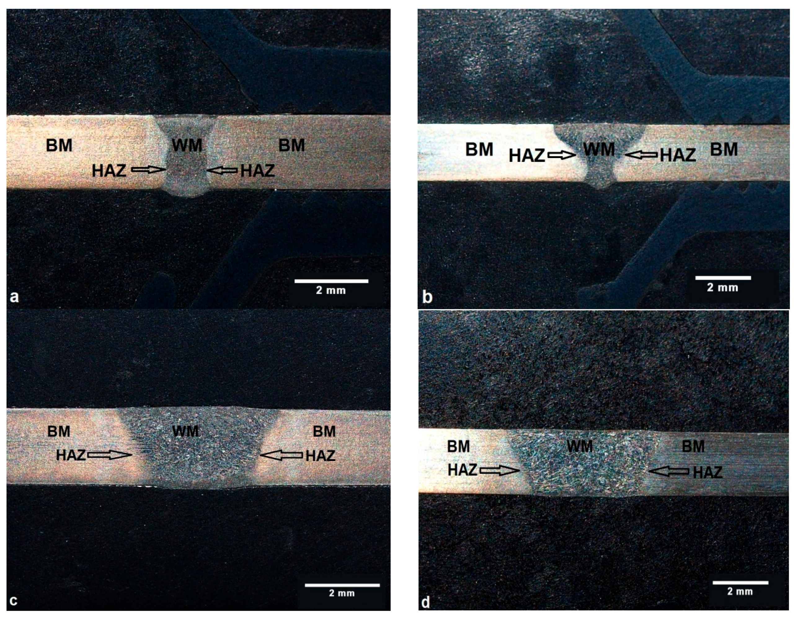 Metals 14 01184 g005