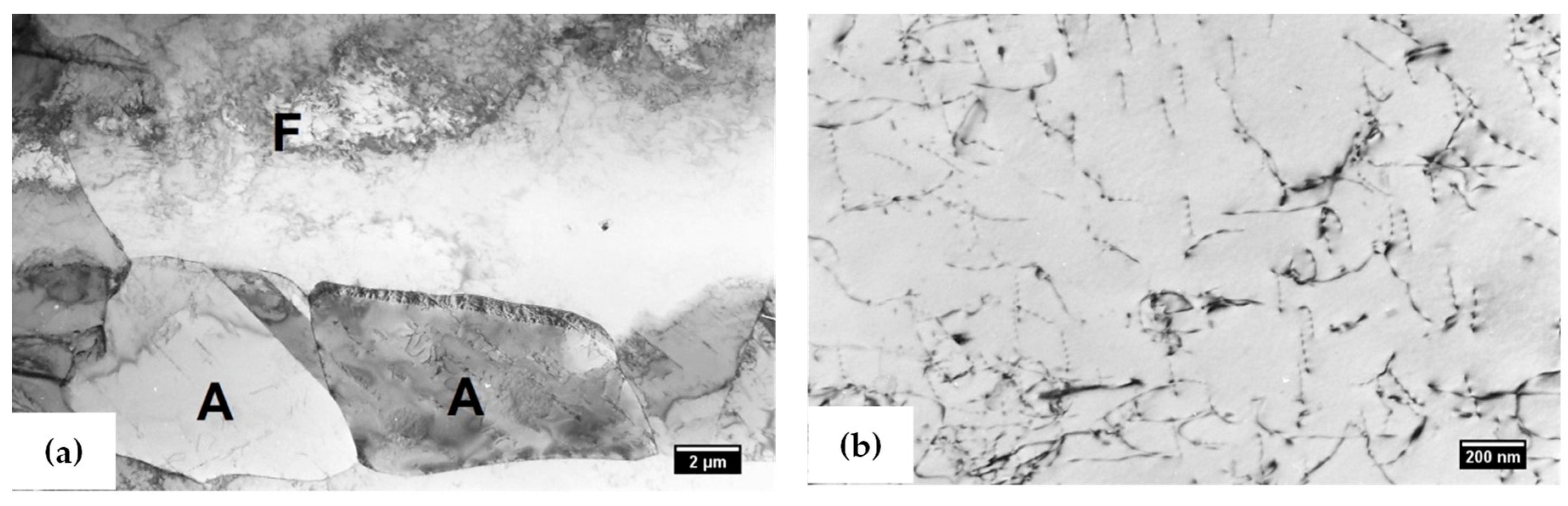 Metals 14 01184 g008