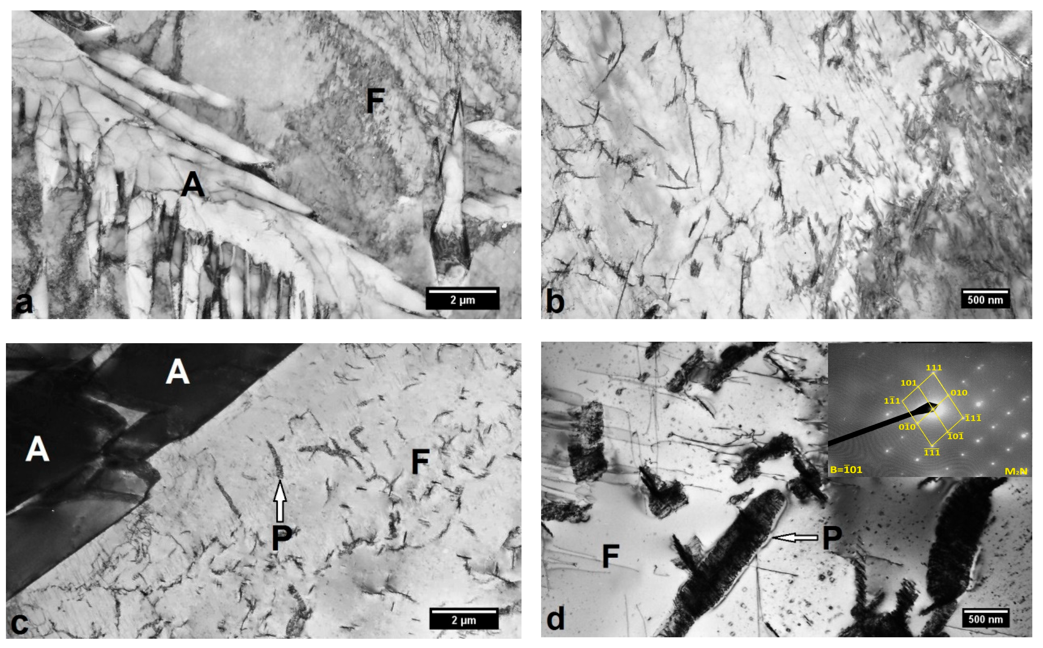 Metals 14 01184 g011