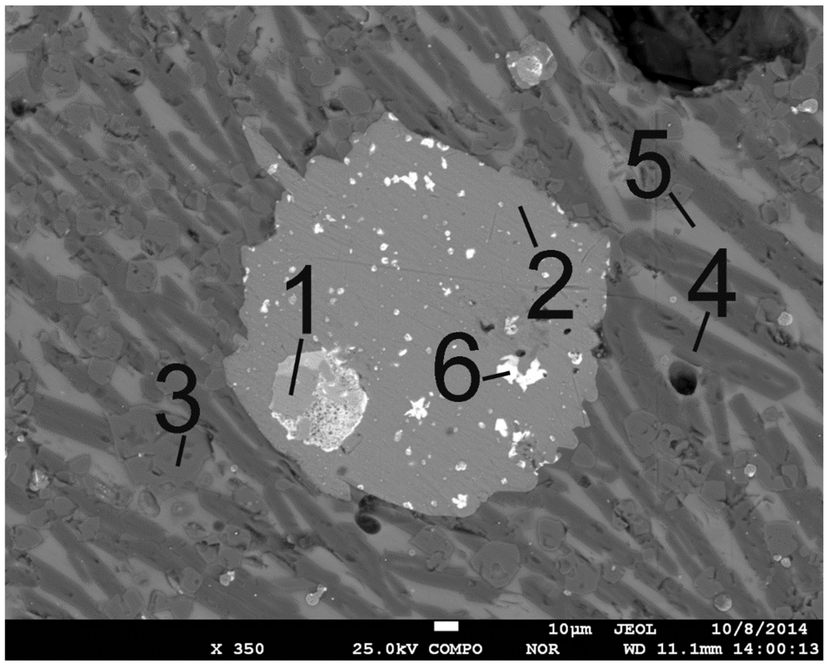 Metals 14 01187 g003