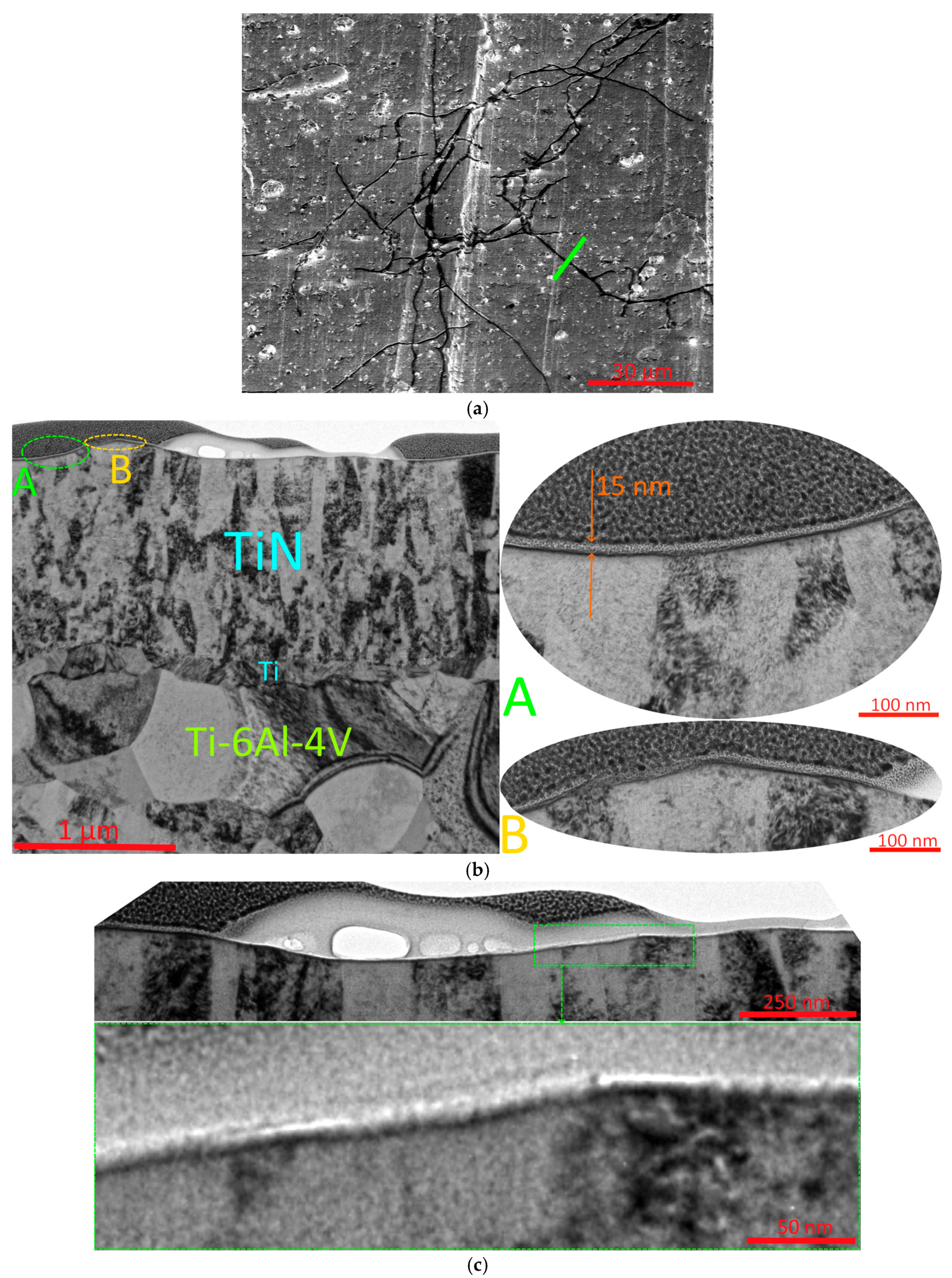Metals 14 01200 g004