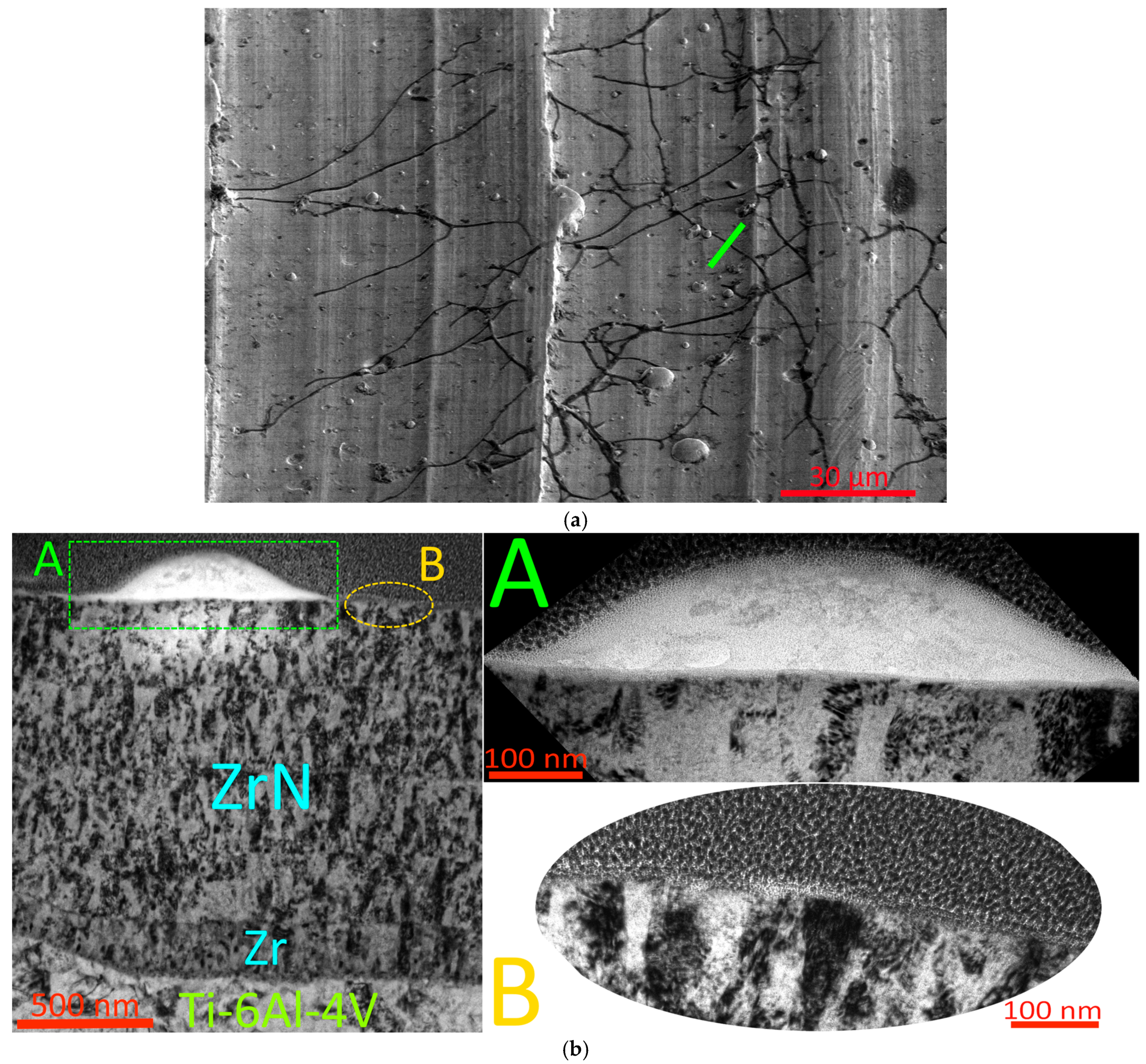 Metals 14 01200 g006
