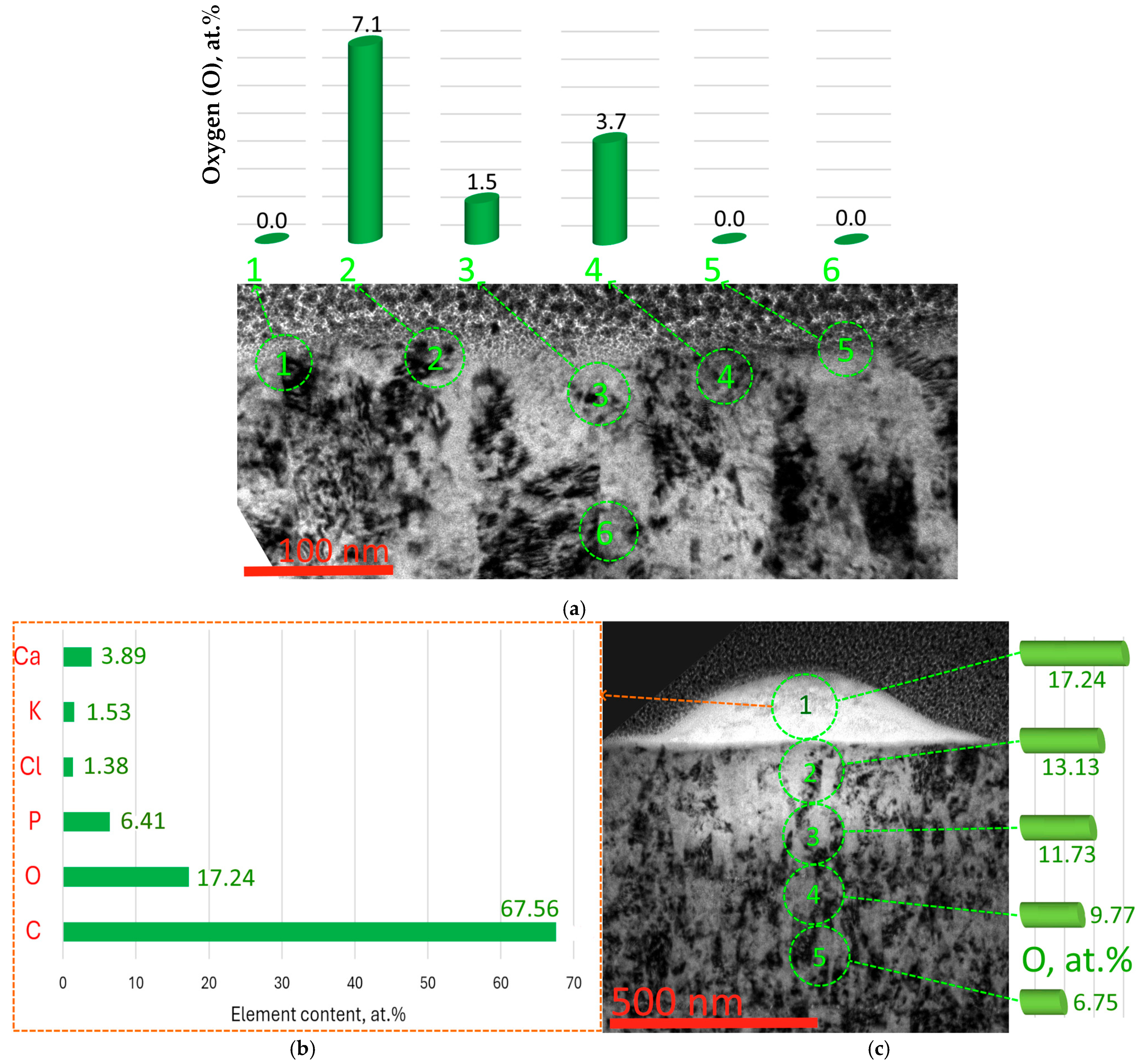 Metals 14 01200 g007