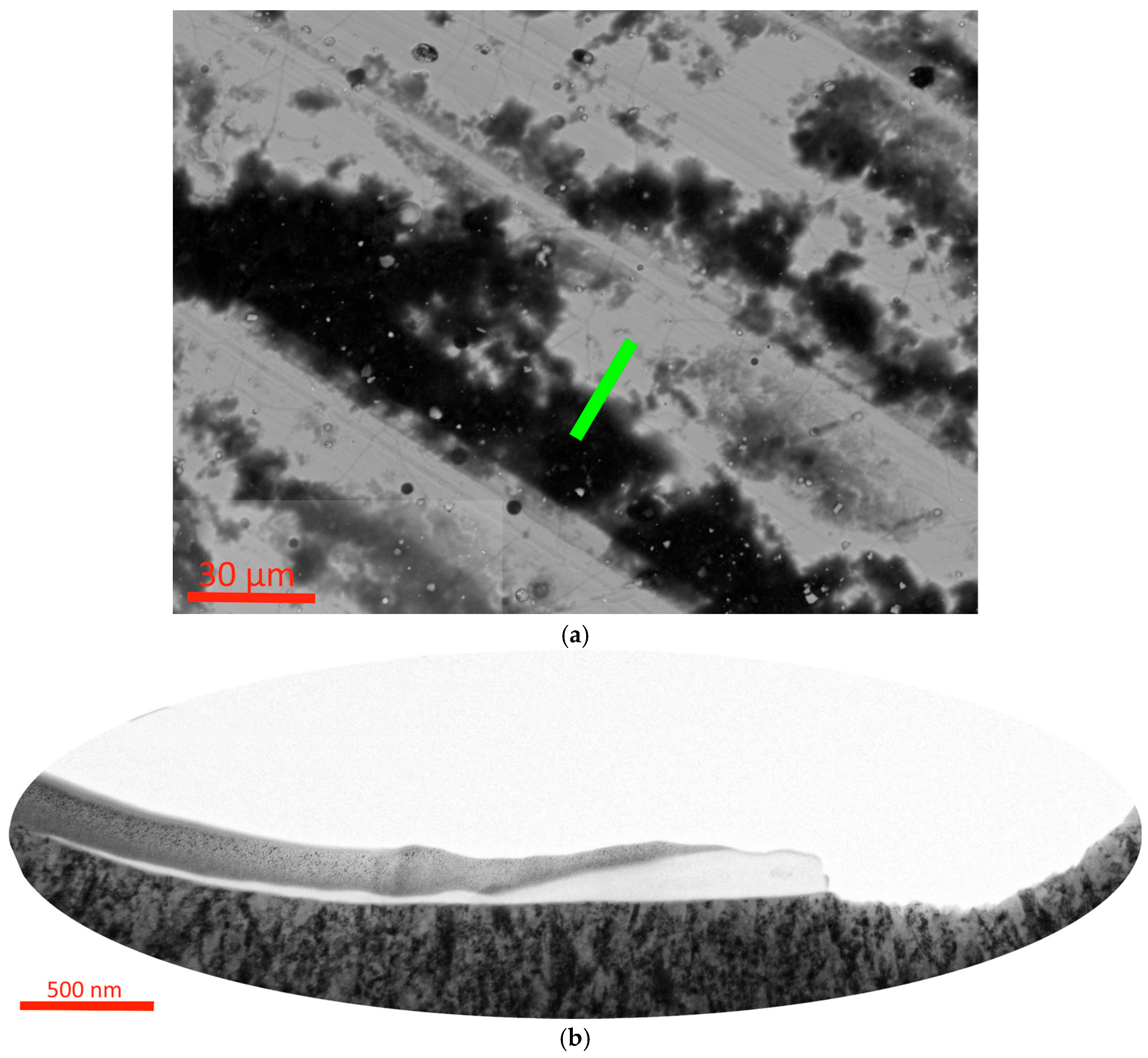 Metals 14 01200 g009a