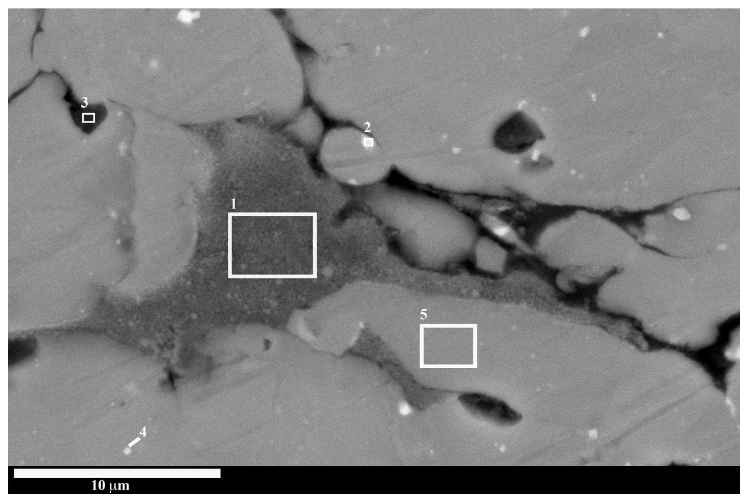 Metals 14 01206 g010