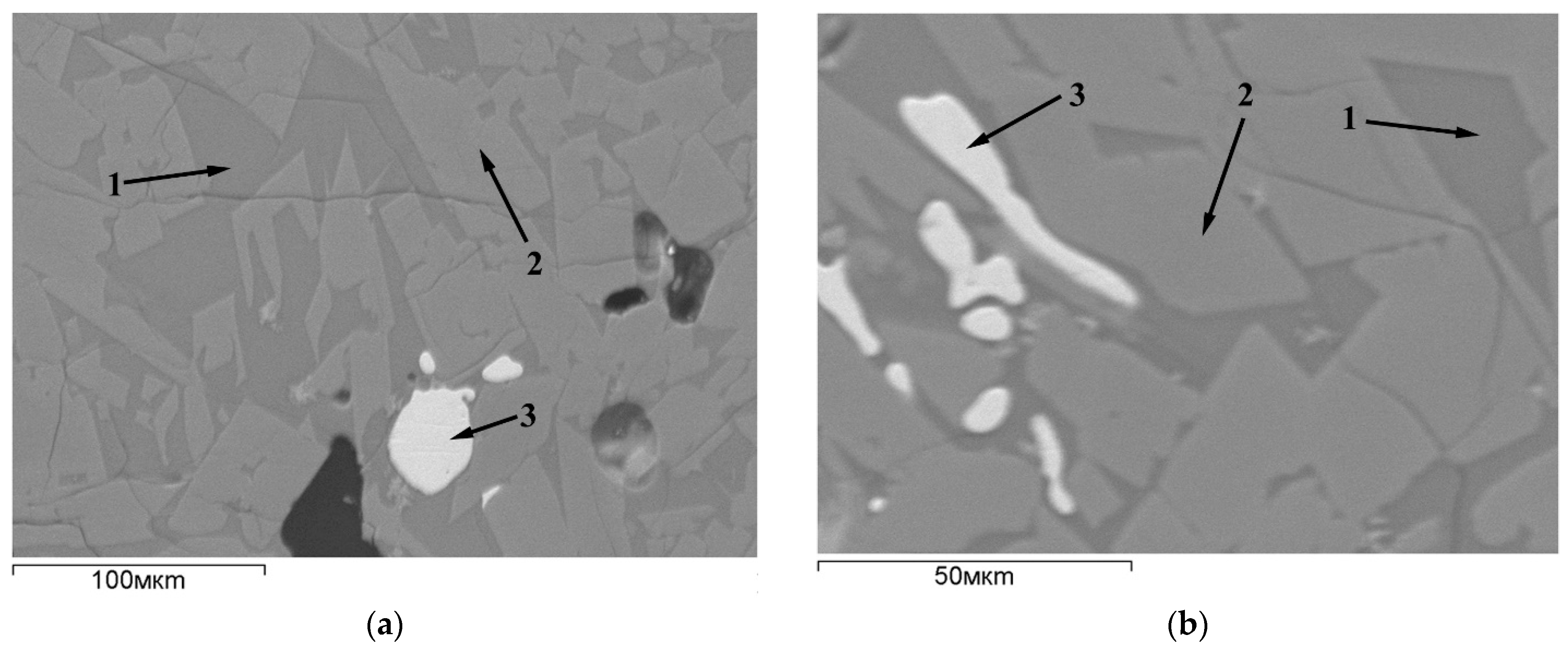 Metals 14 01211 g011