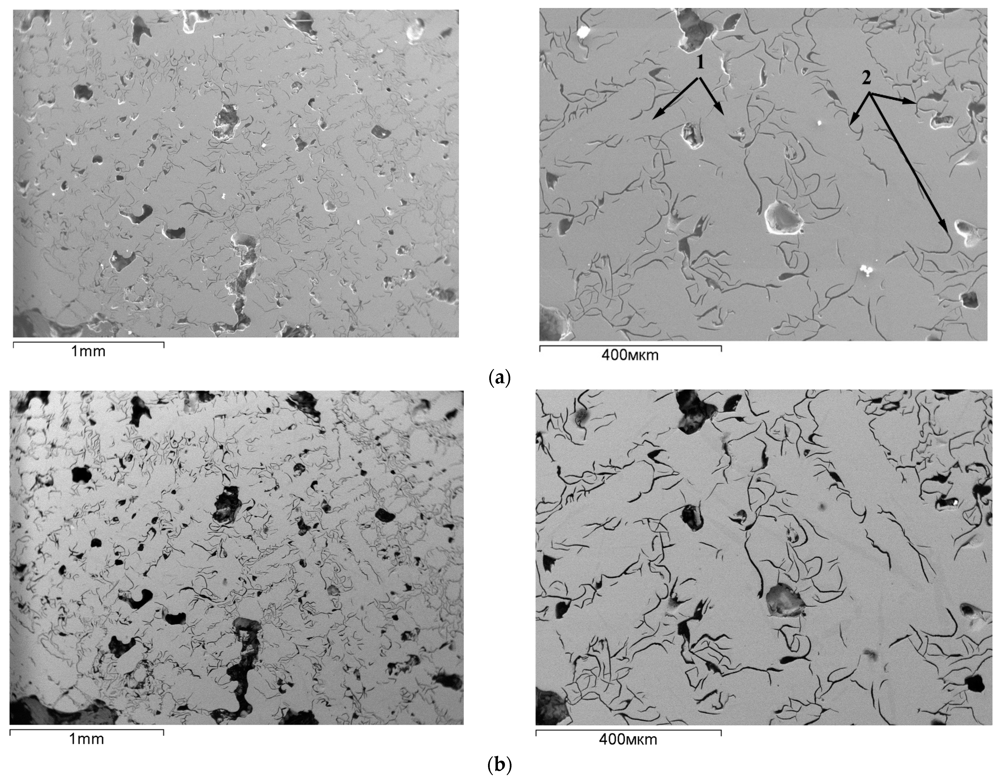 Metals 14 01211 g014