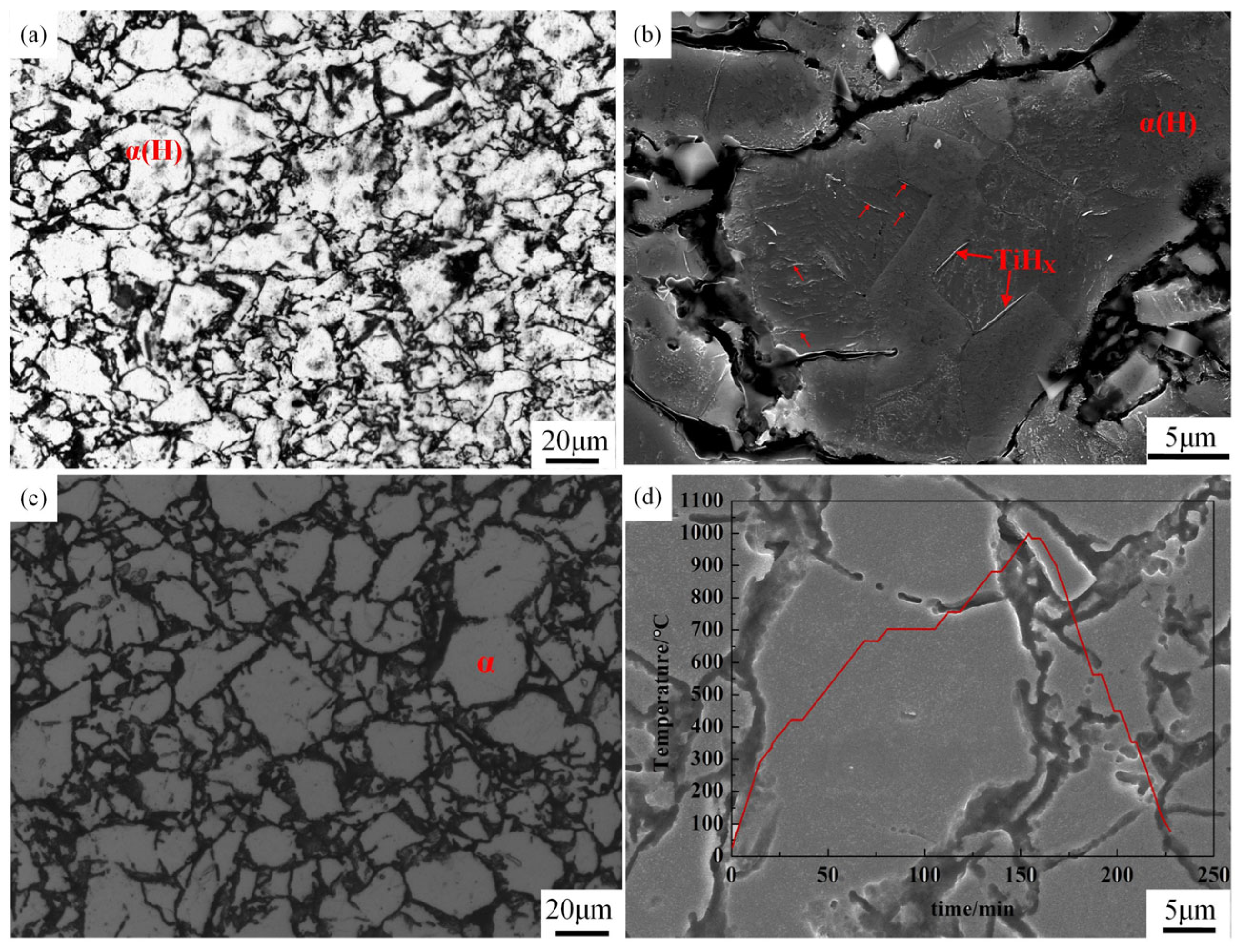 Metals 14 01218 g004
