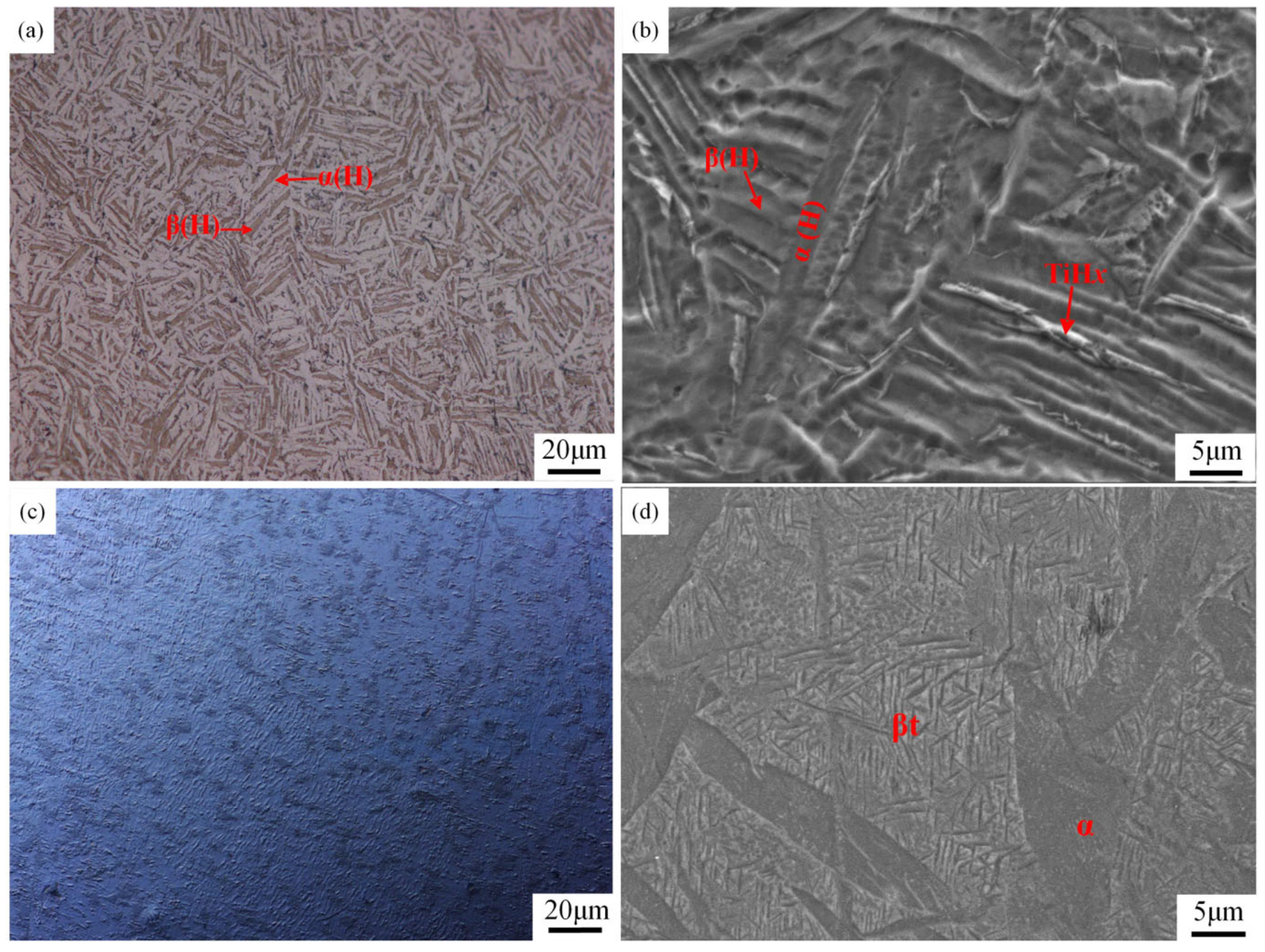 Metals 14 01218 g008