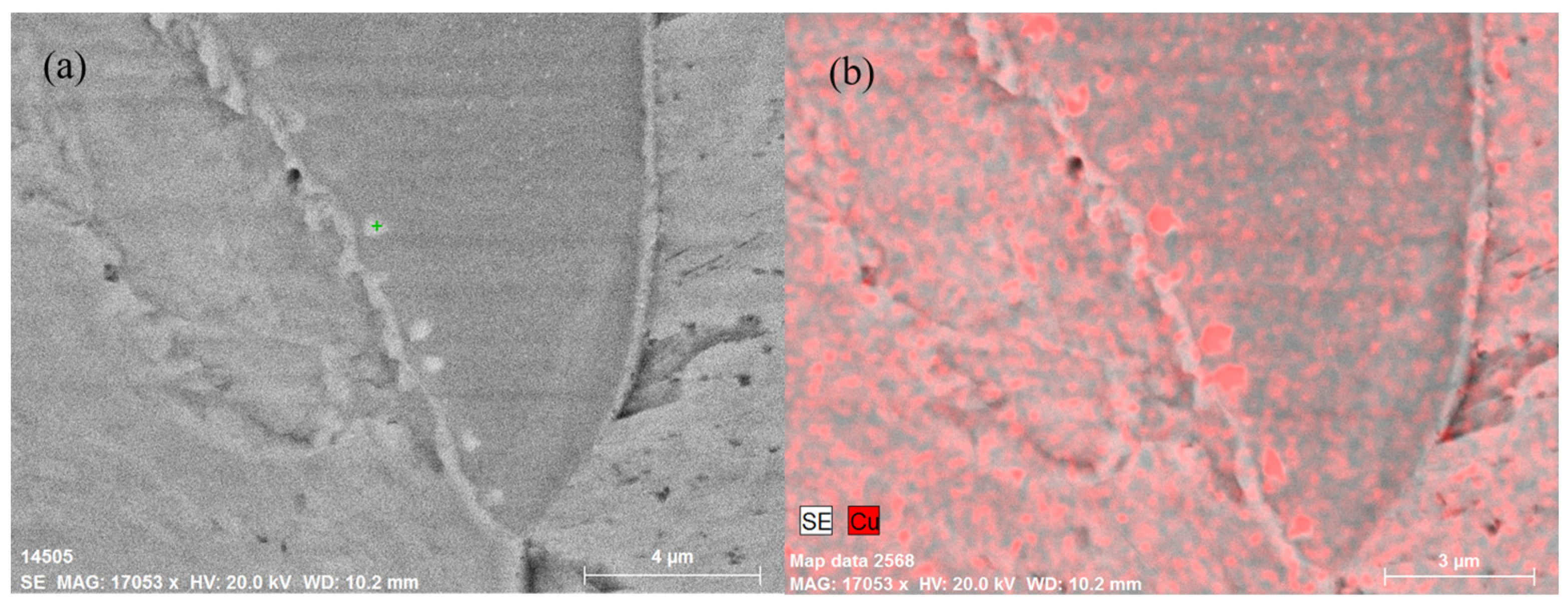 Metals 14 01220 g011