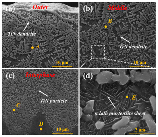 Improving the Bio-Tribological Properties of Ti6Al4V Alloy