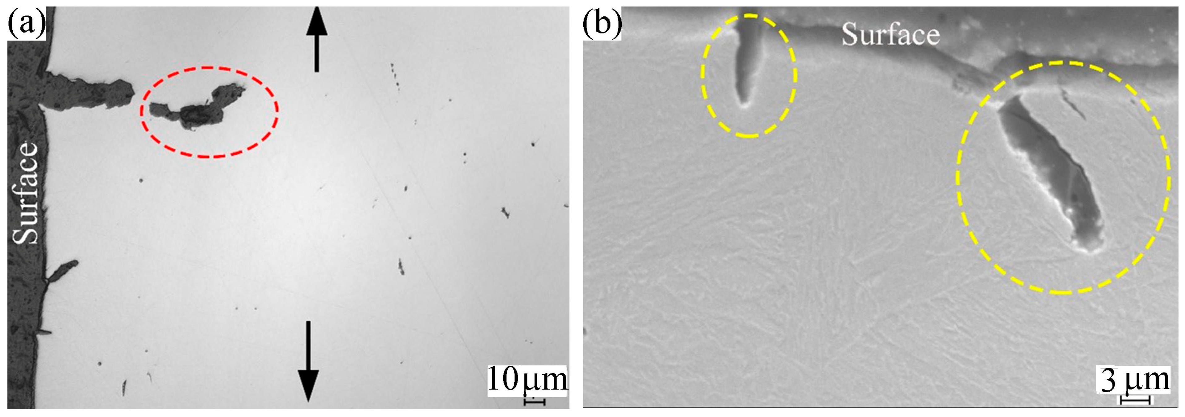 Metals 14 01238 g012