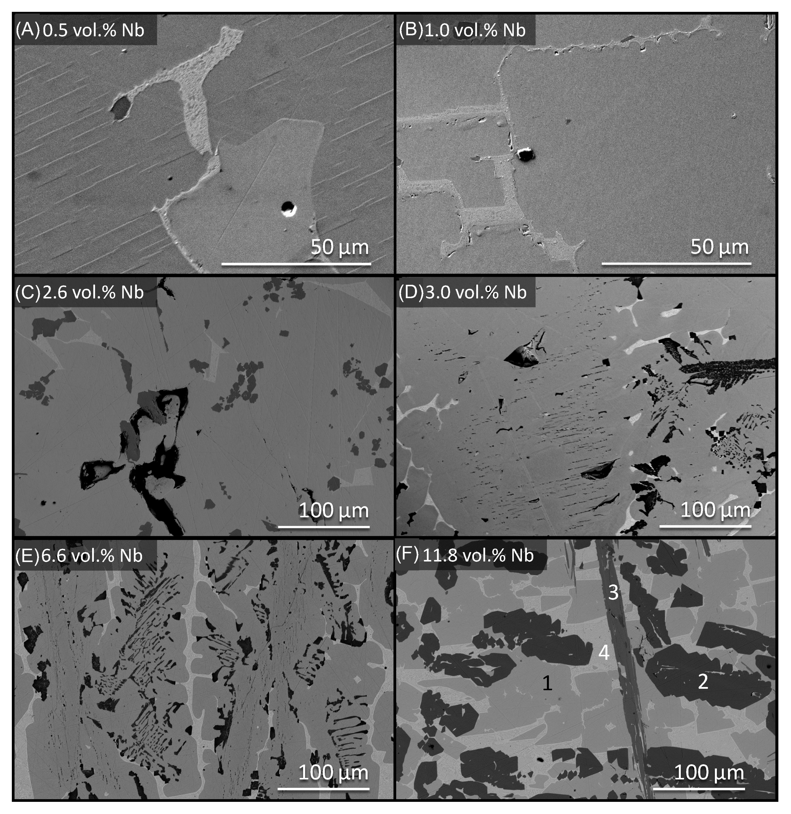 Metals 14 01239 g002