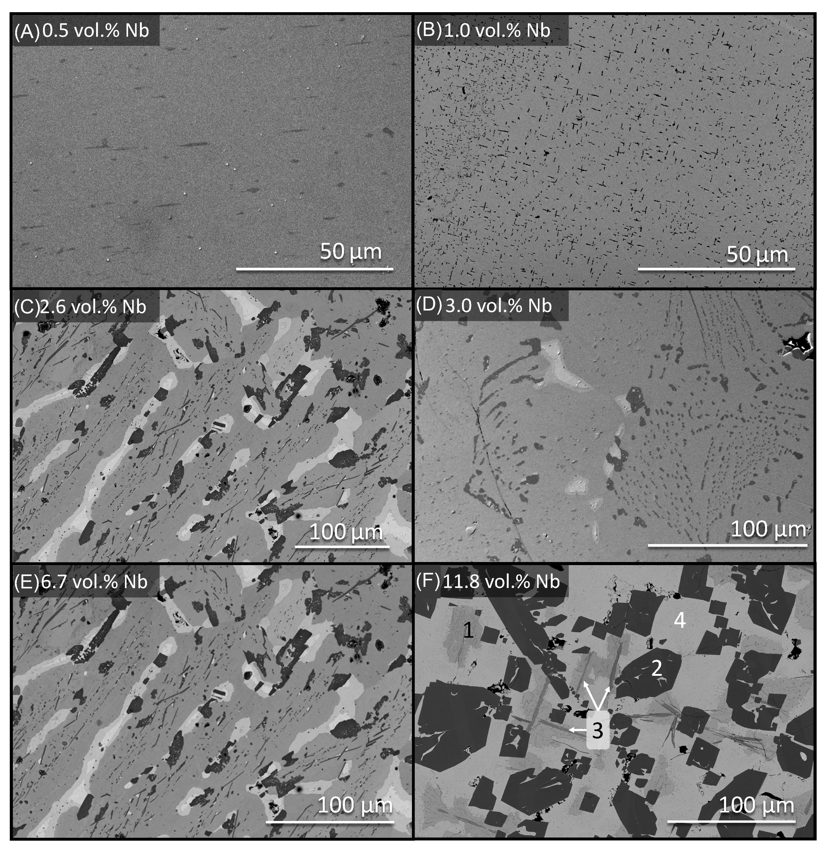 Metals 14 01239 g004