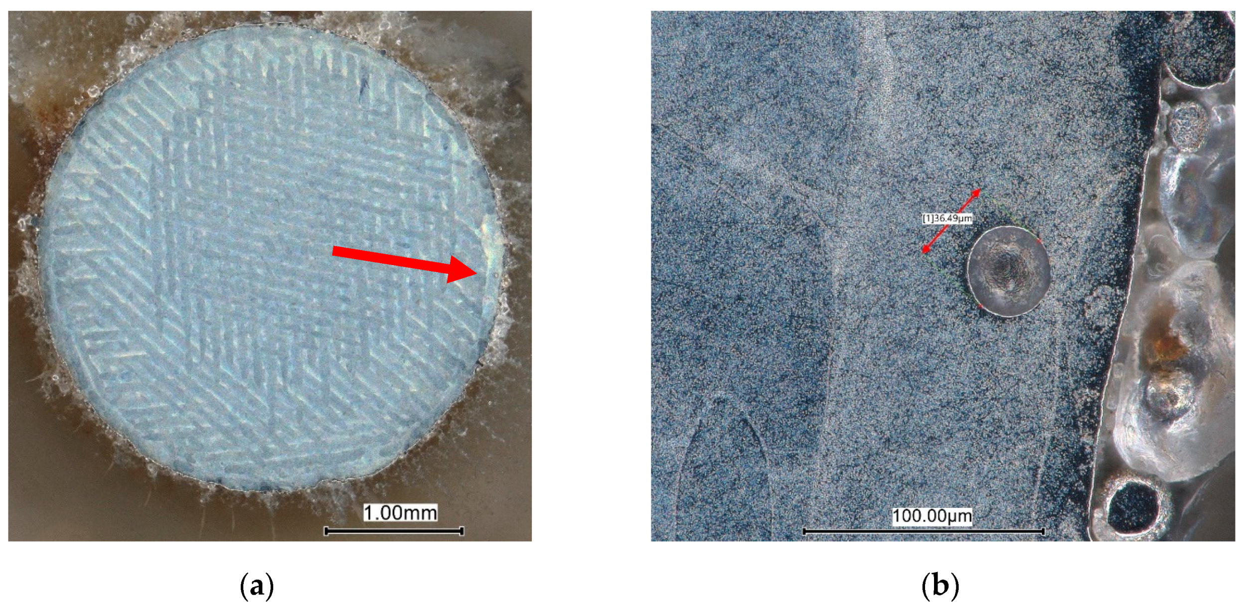 Metals 14 01246 g018