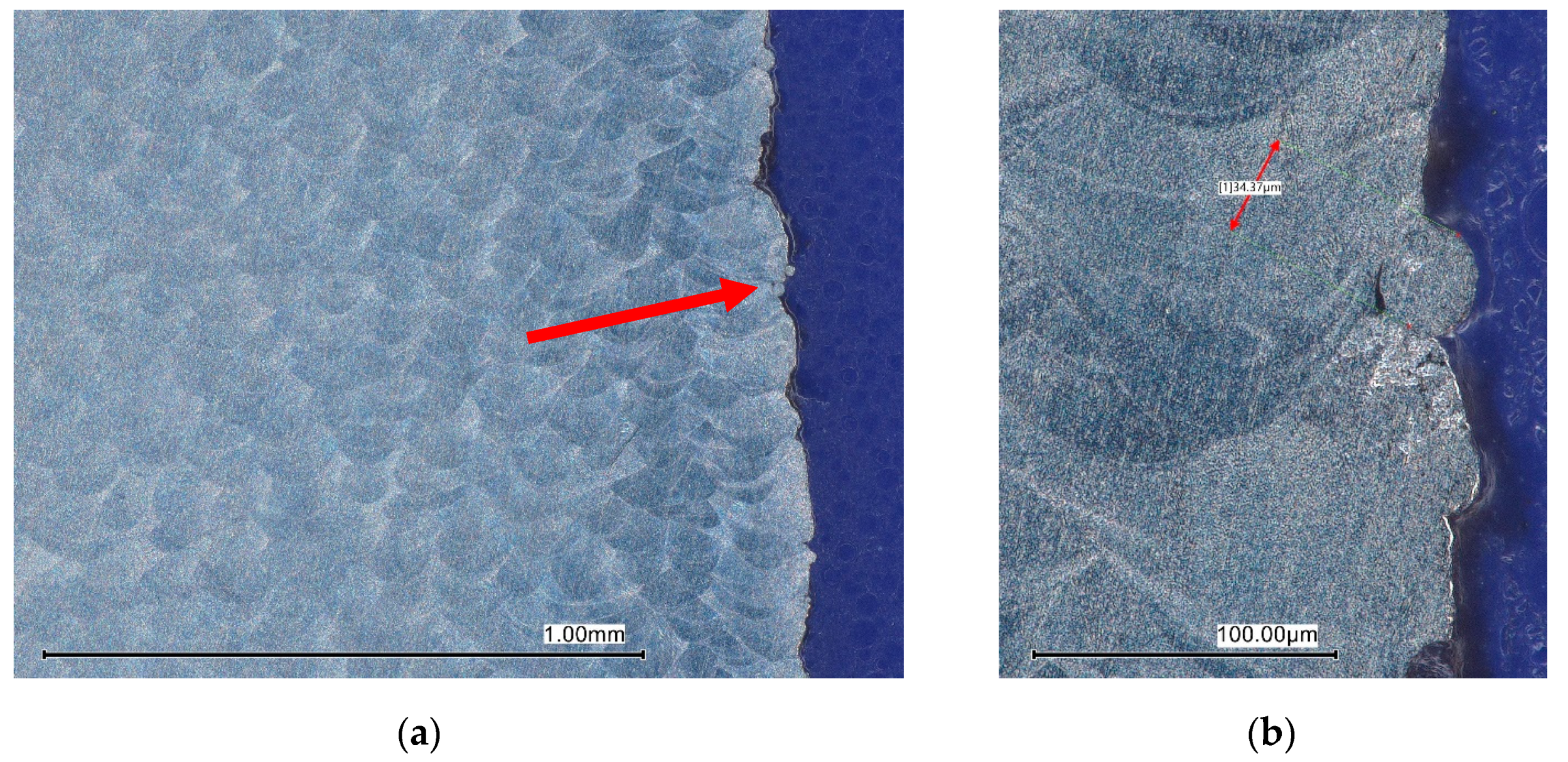 Metals 14 01246 g019