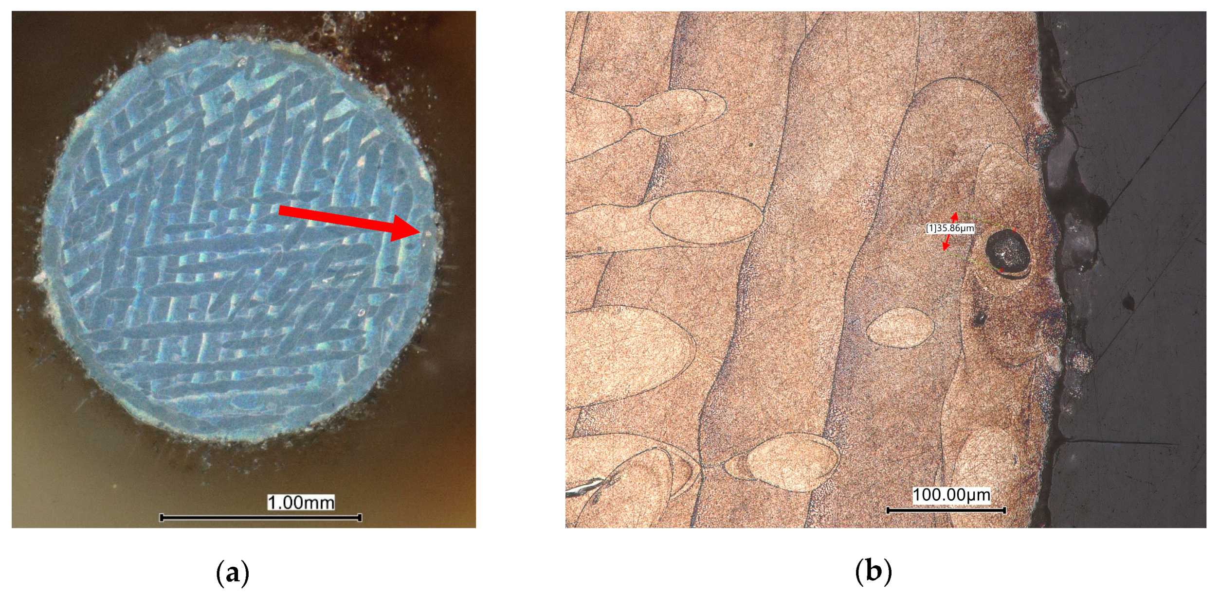 Metals 14 01246 g020