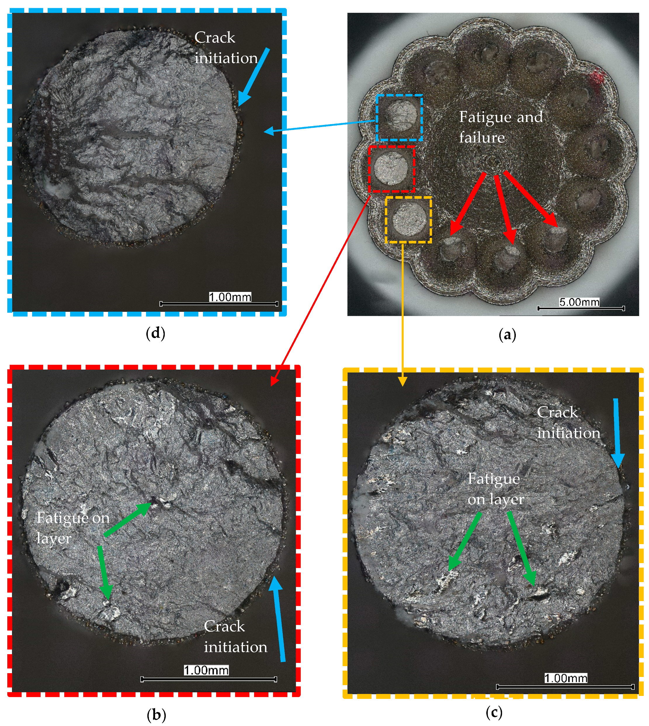 Metals 14 01246 g028