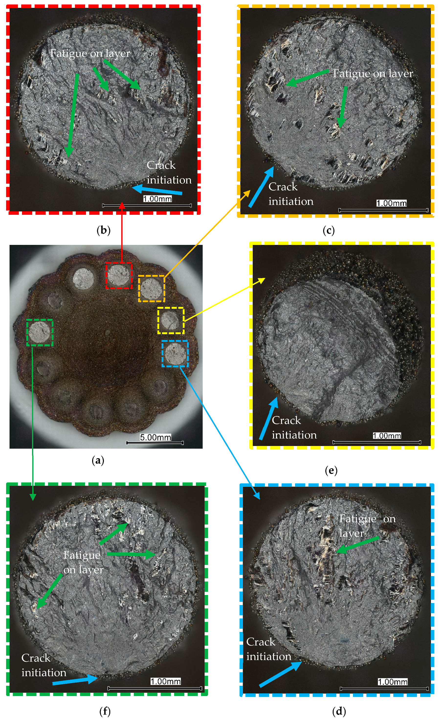 Metals 14 01246 g029