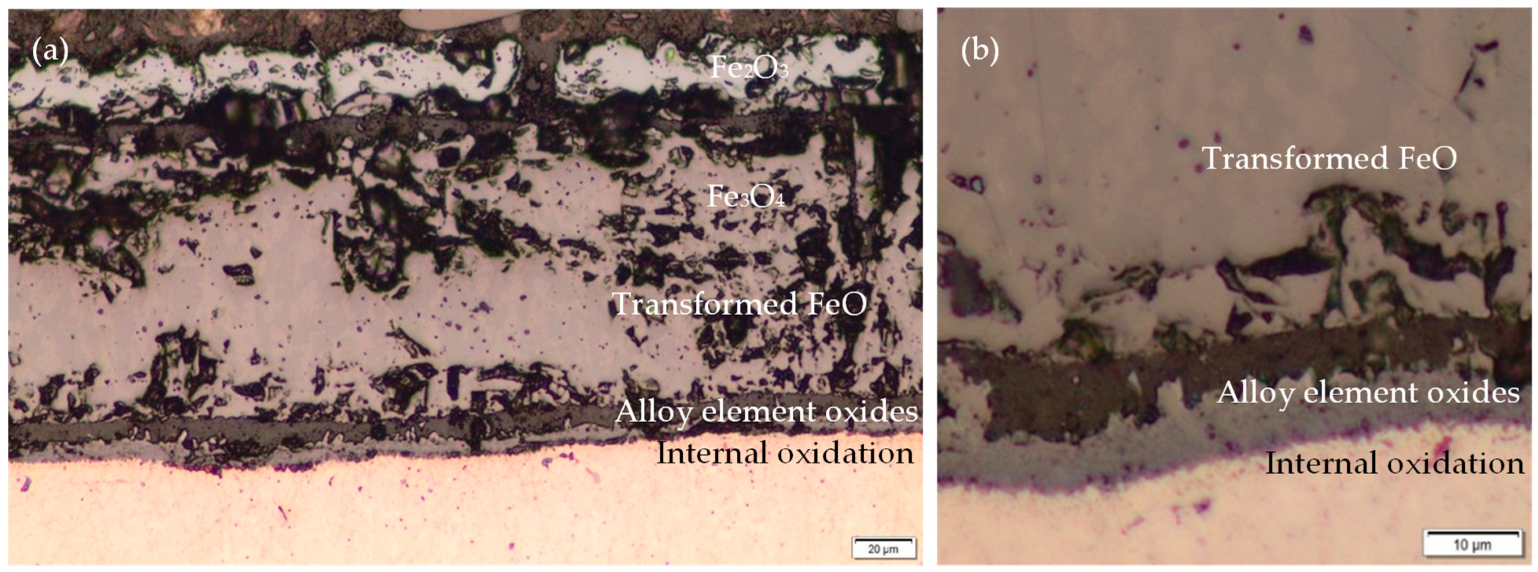 Metals 14 01251 g013