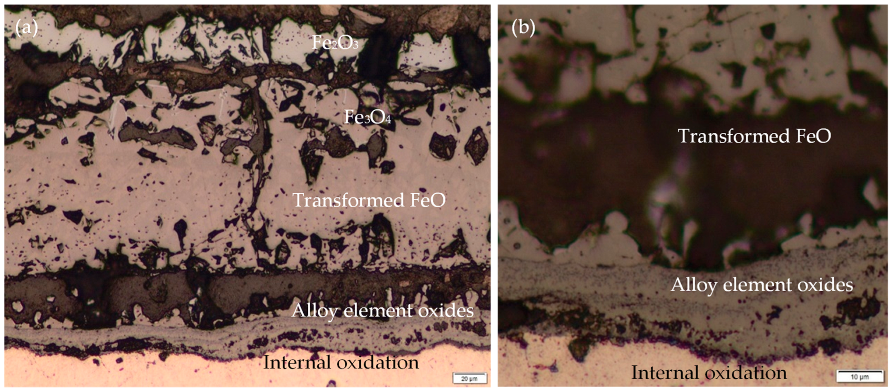 Metals 14 01251 g017