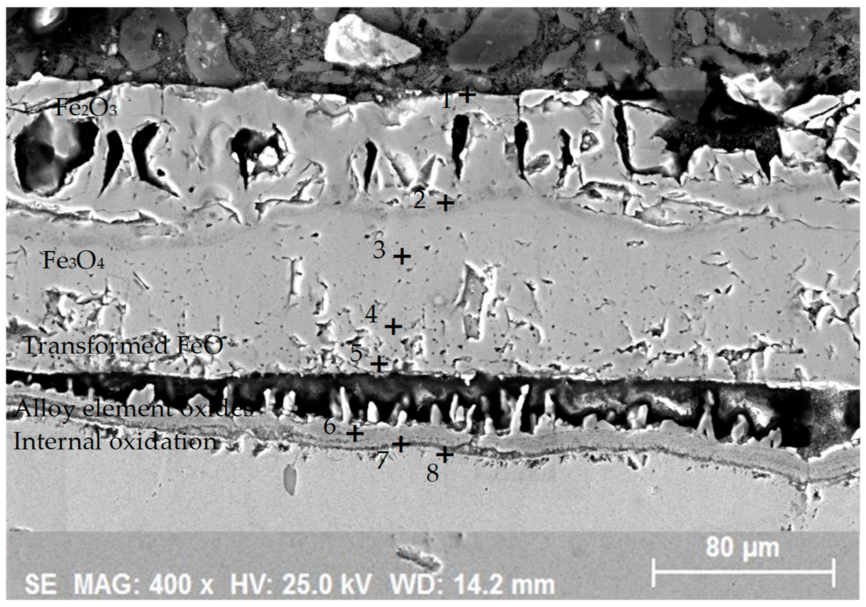 Metals 14 01251 g023