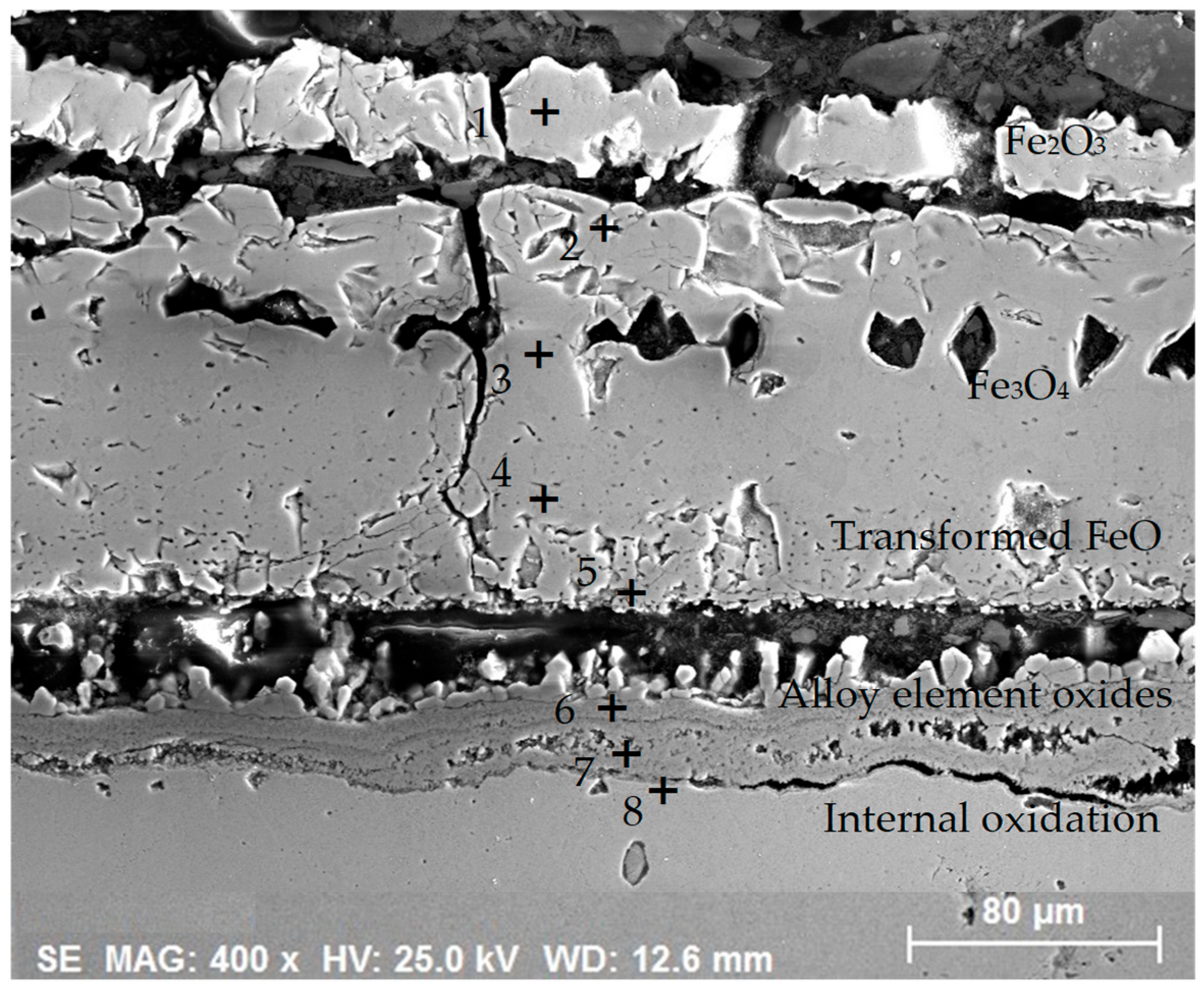 Metals 14 01251 g024