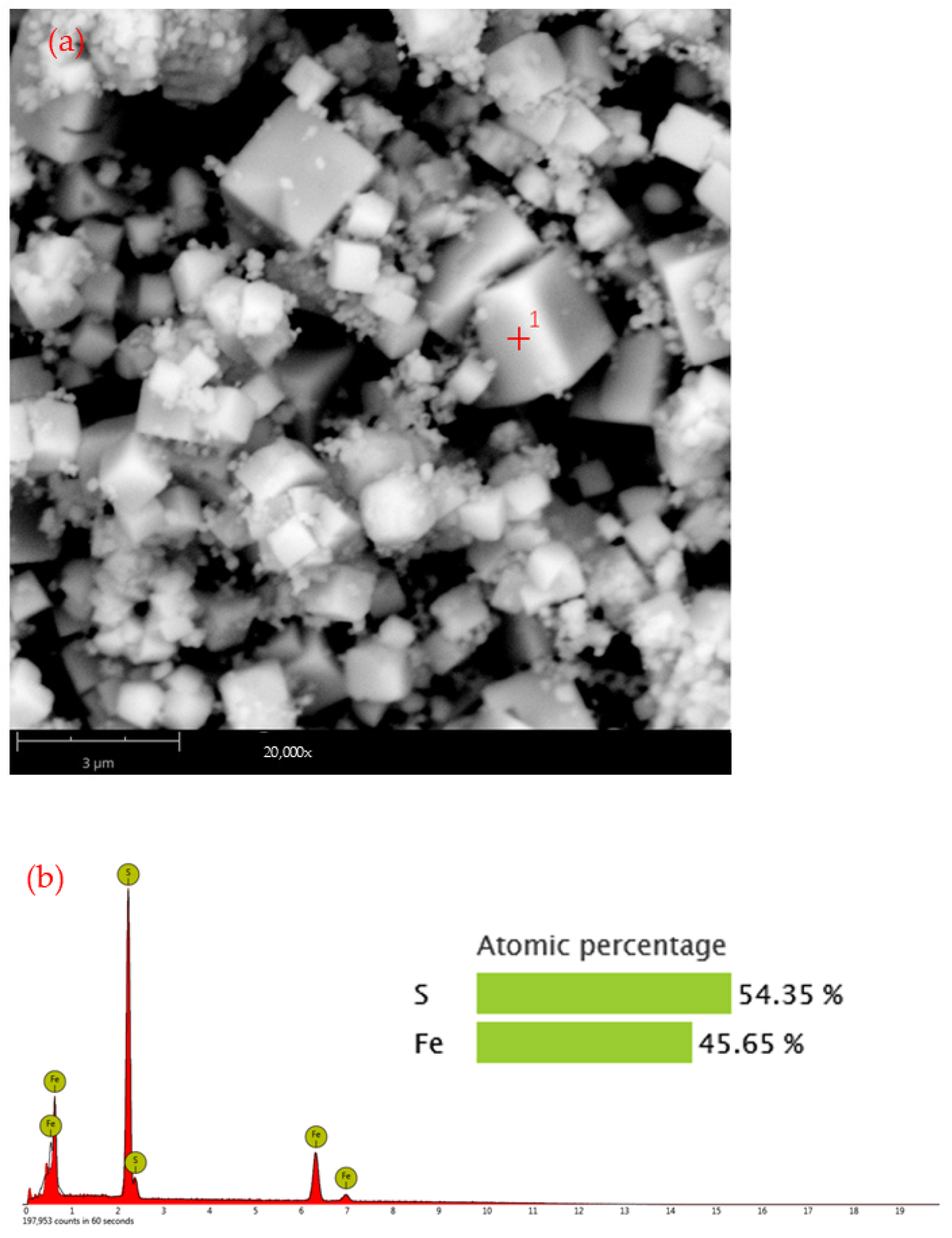 Metals 14 01256 g004