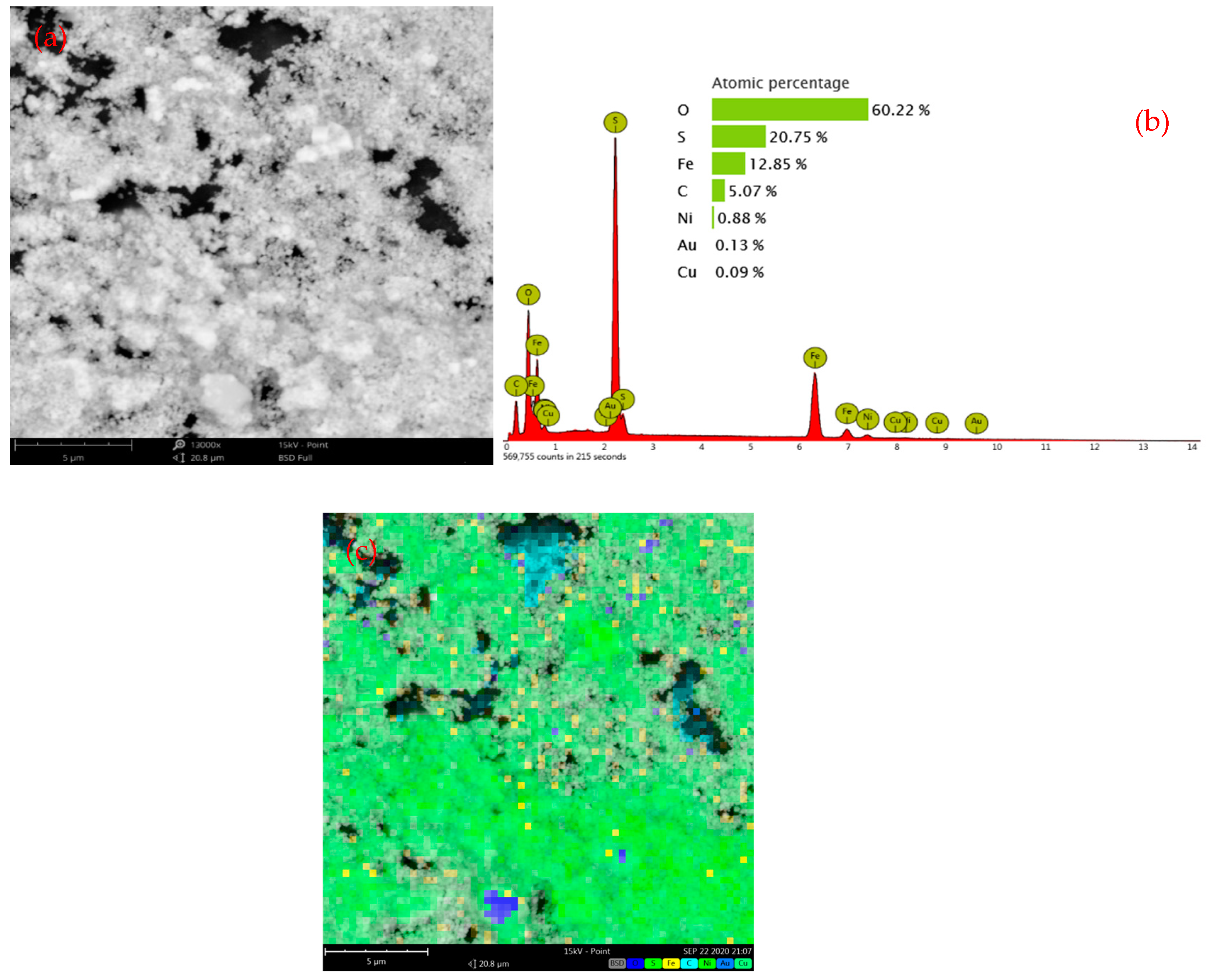 Metals 14 01256 g012