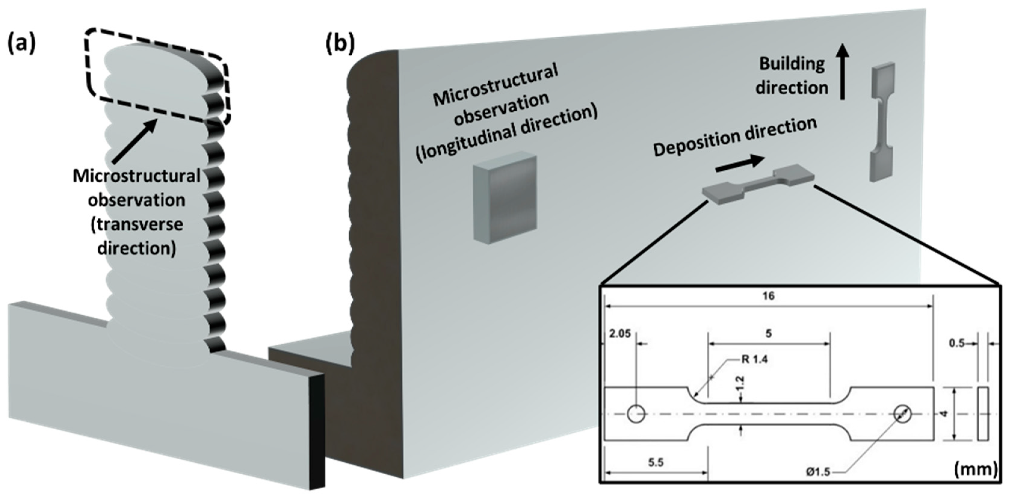 Metals 14 01261 g002