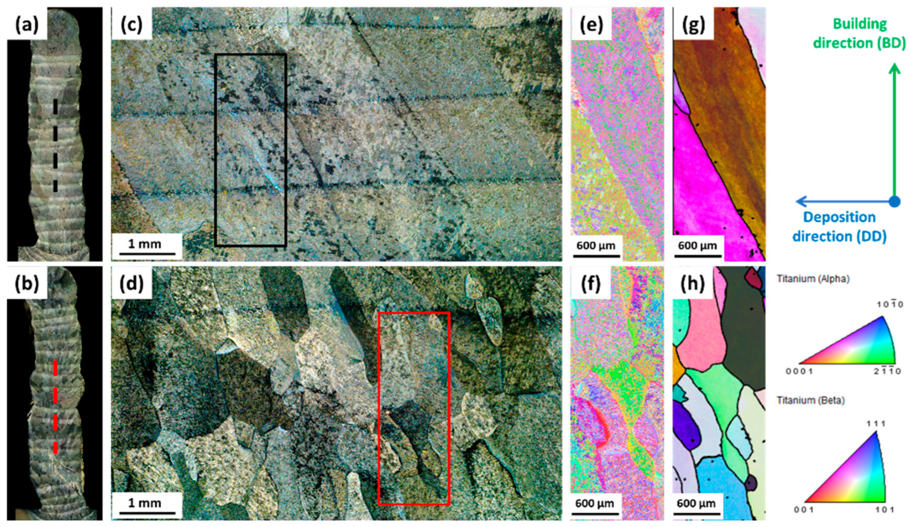 Metals 14 01261 g003