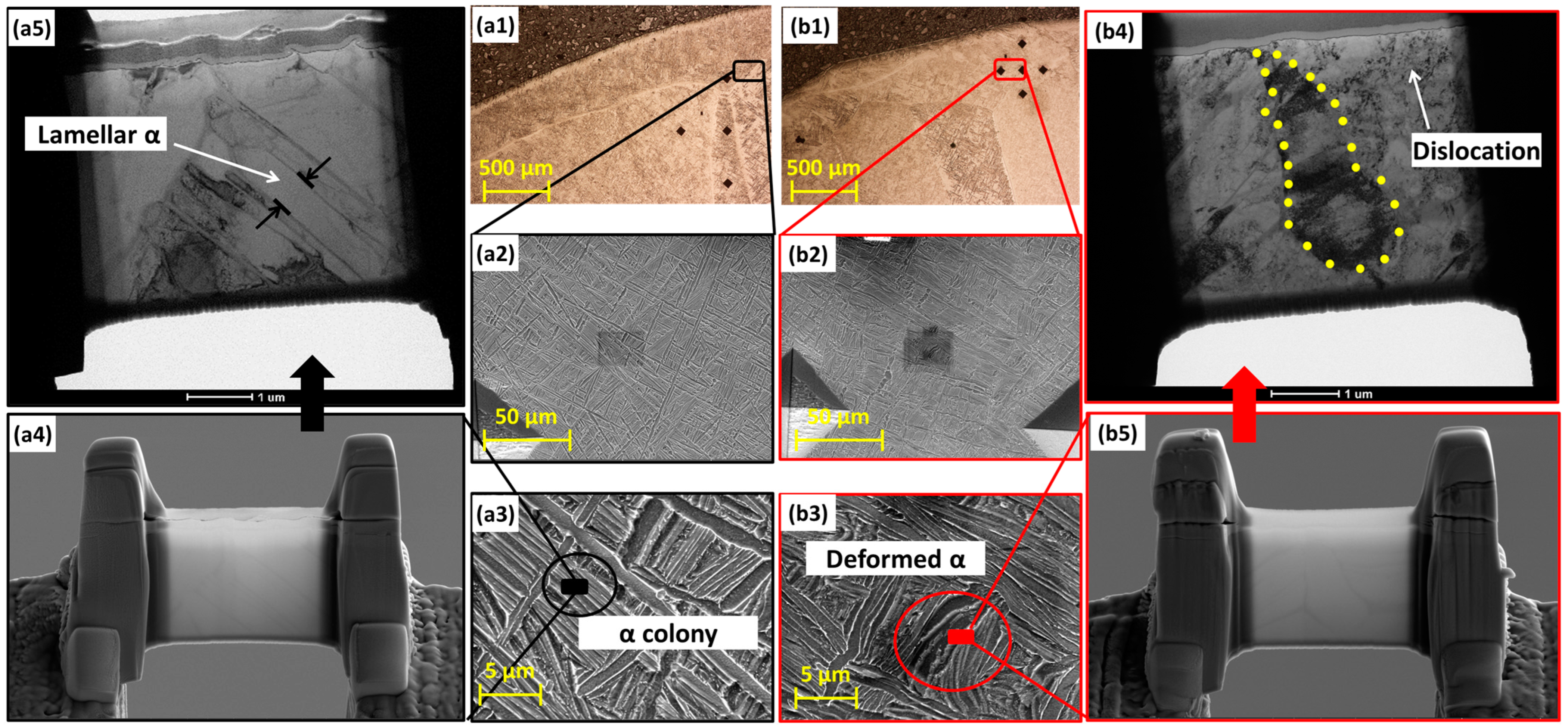 Metals 14 01261 g006